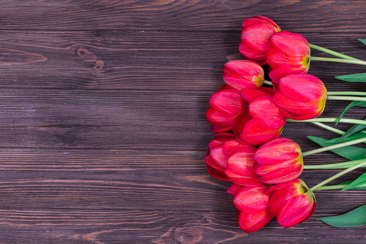 如果生产者风险高如何调整抽样方案回答及拓展