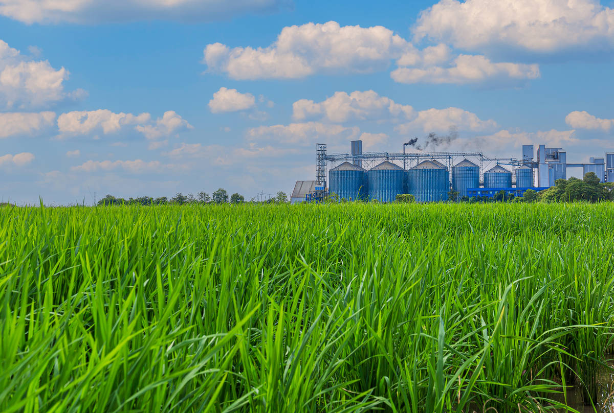 电力与饲草产业：相互依存，共同发展