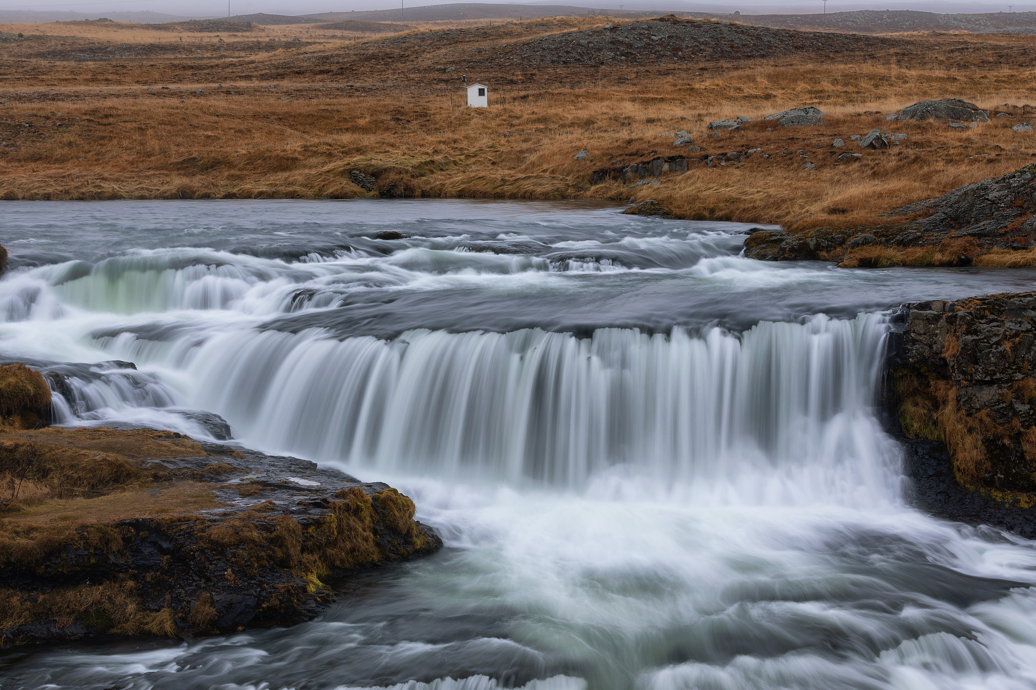 KJA 字母组合能组成哪些英文单词？