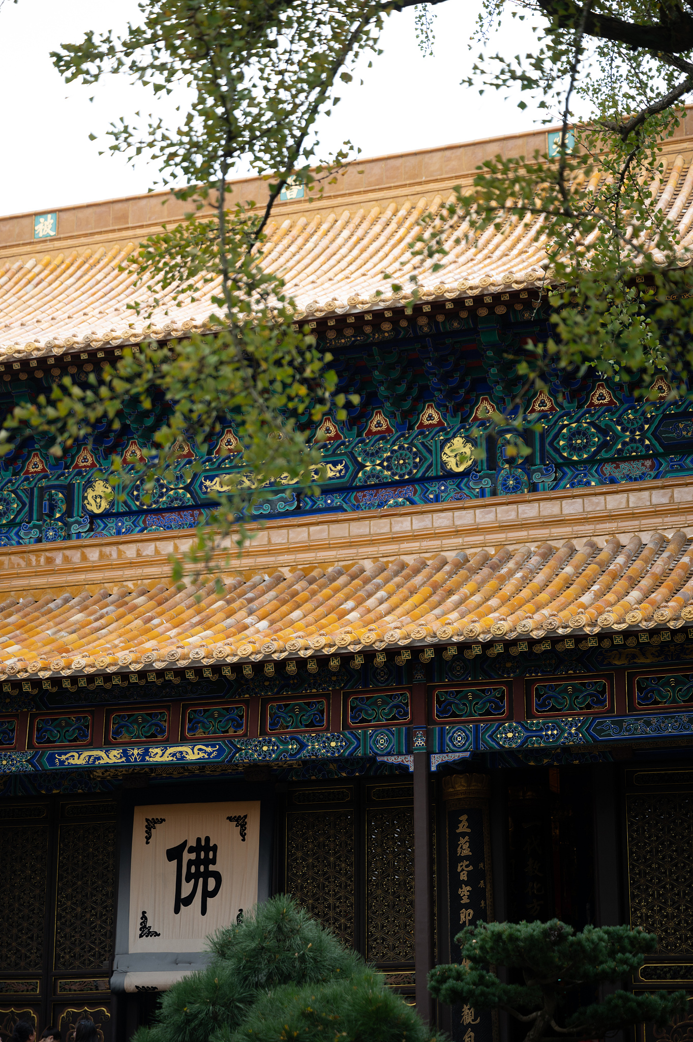 北京过来旅游普陀山和象山先玩哪个帮我用200字详细描述