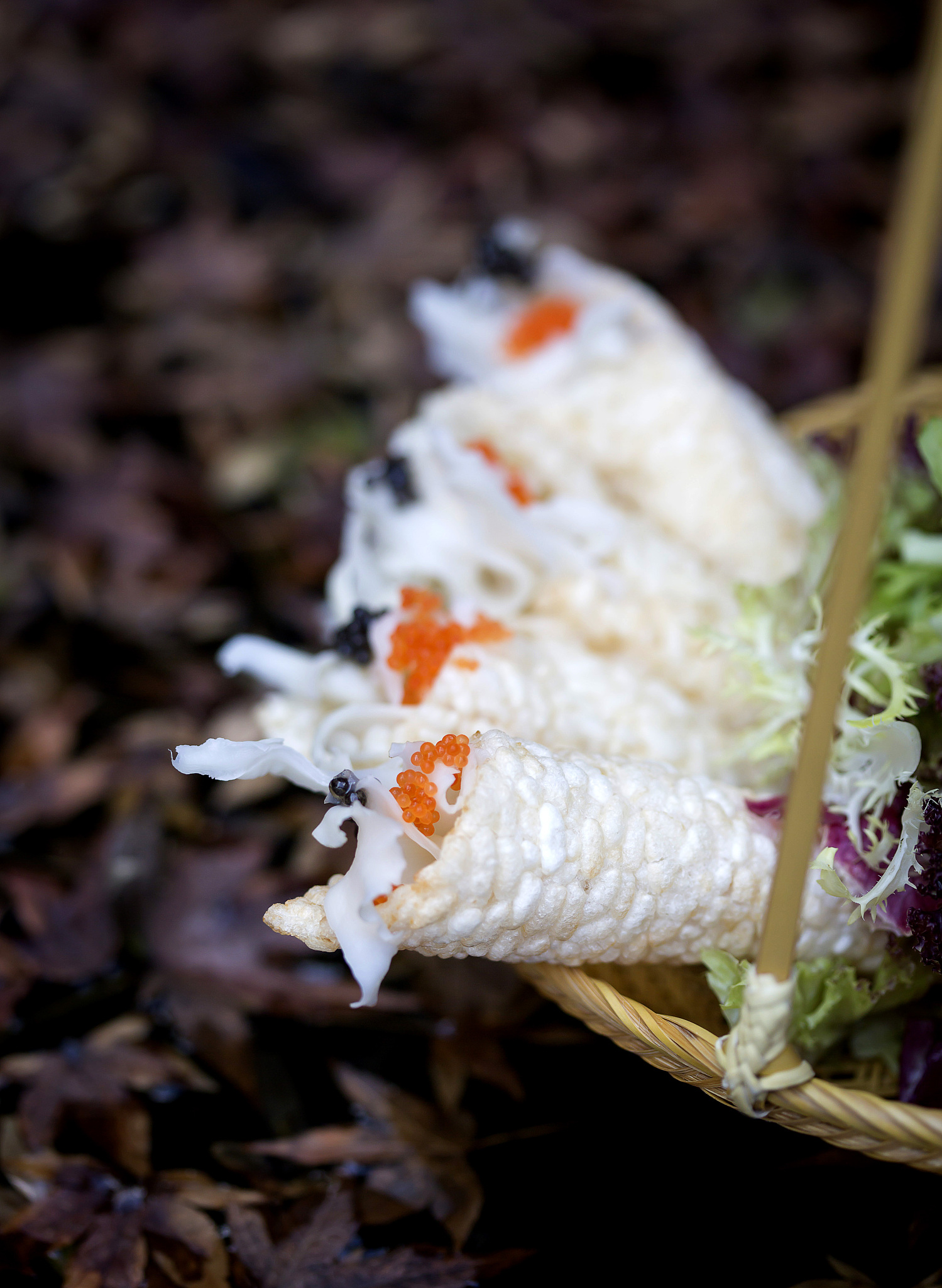 杭州职达健康养生分院2021年招生专业有哪些？- 附专业介绍