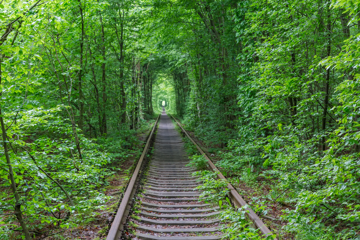 云南玉溪卫生学校地址 - 寻找玉溪卫生学校位置
