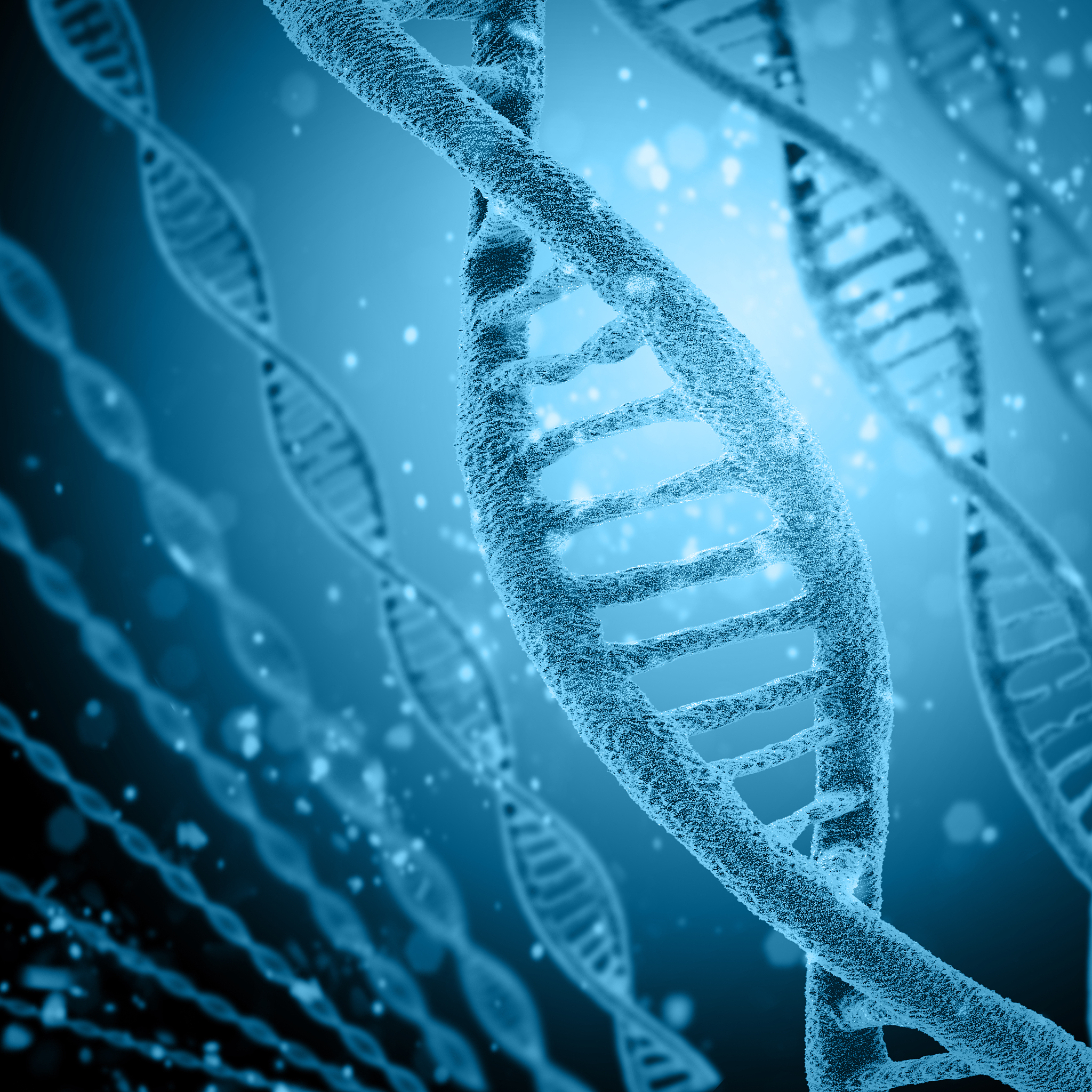 analyse Moutai brand marketing strategy