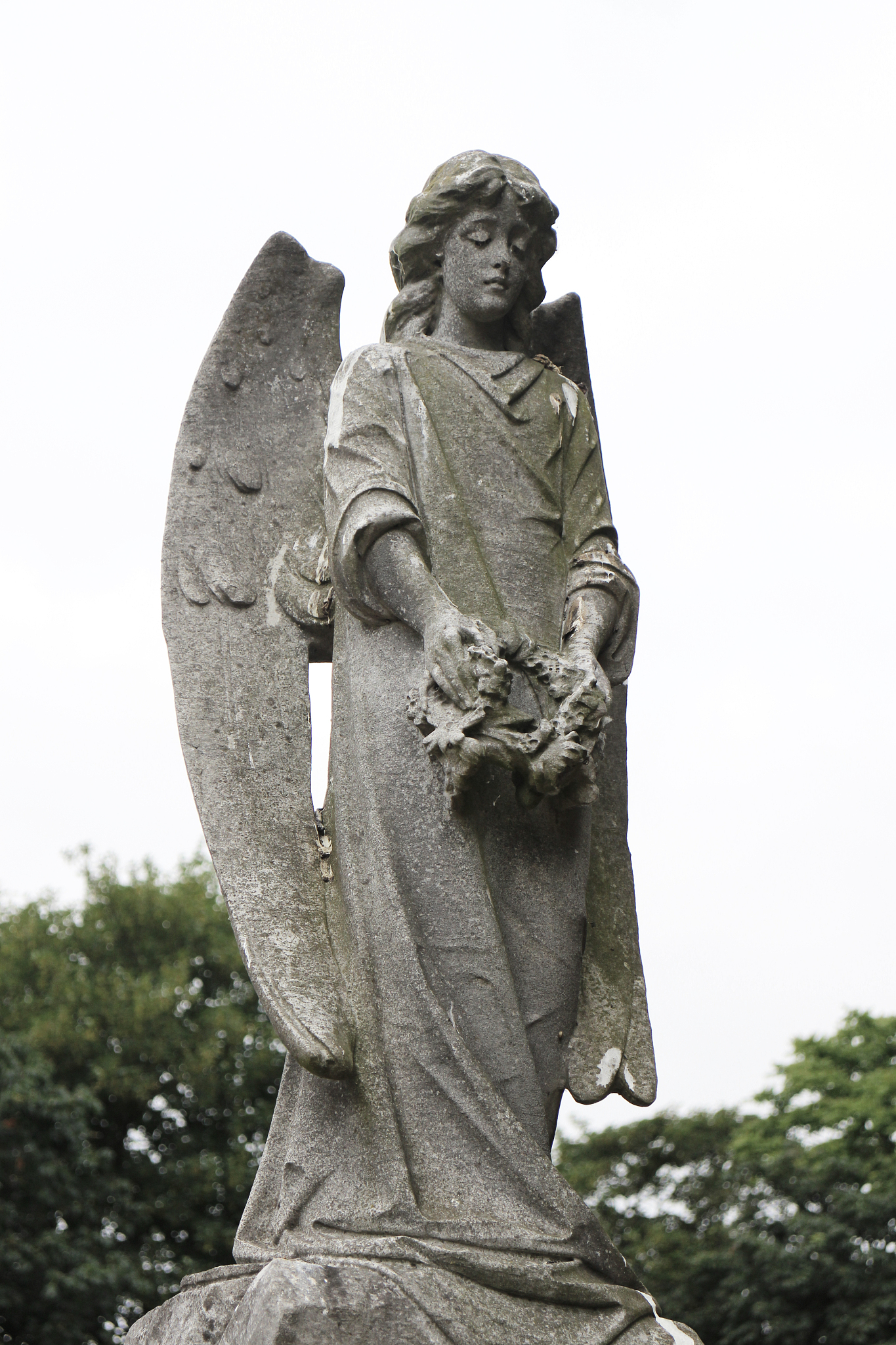 forlorn angel
