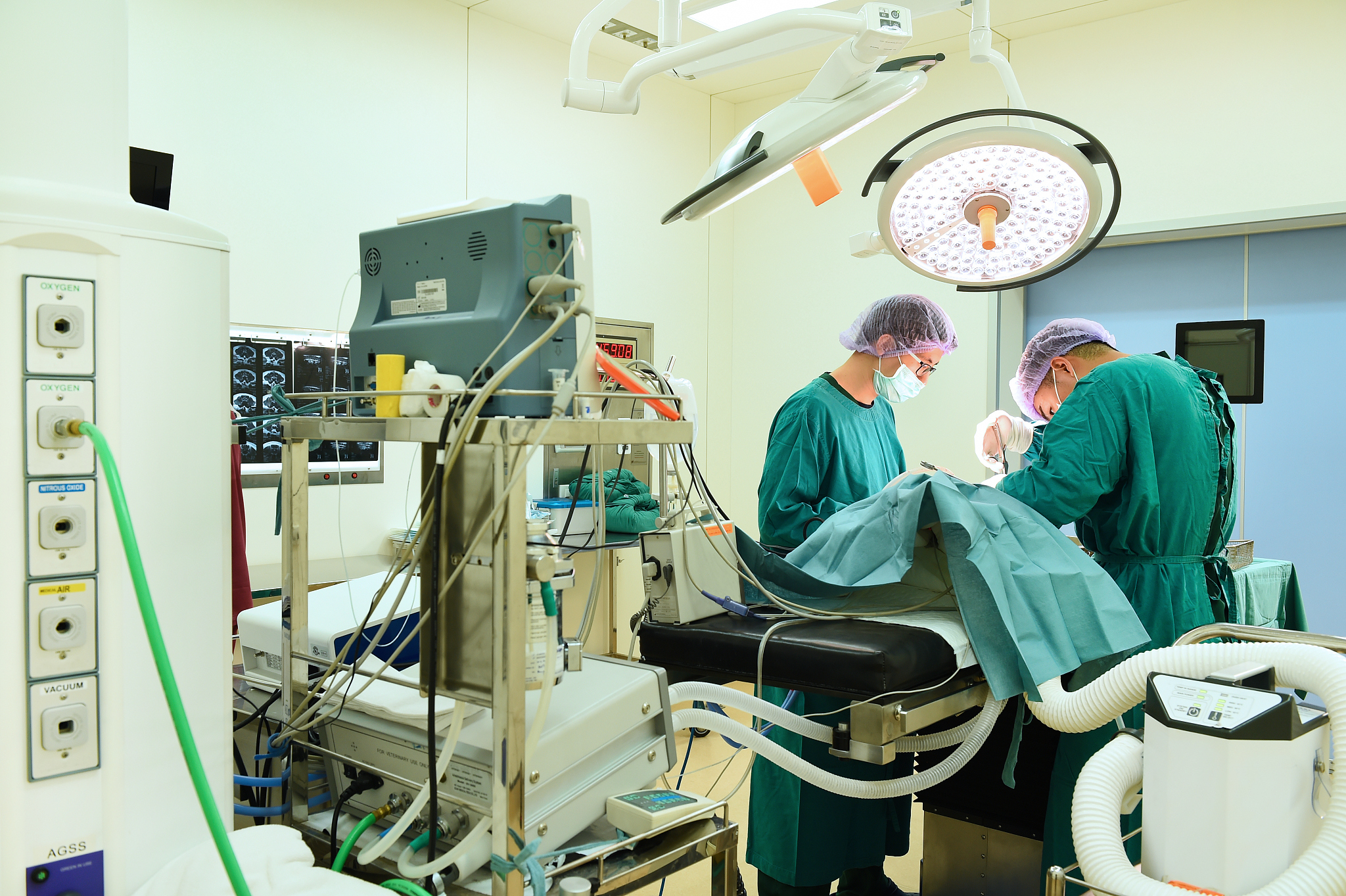 宜川职业教育中心畜牧兽医专业怎么样？ - 专业介绍及就业前景