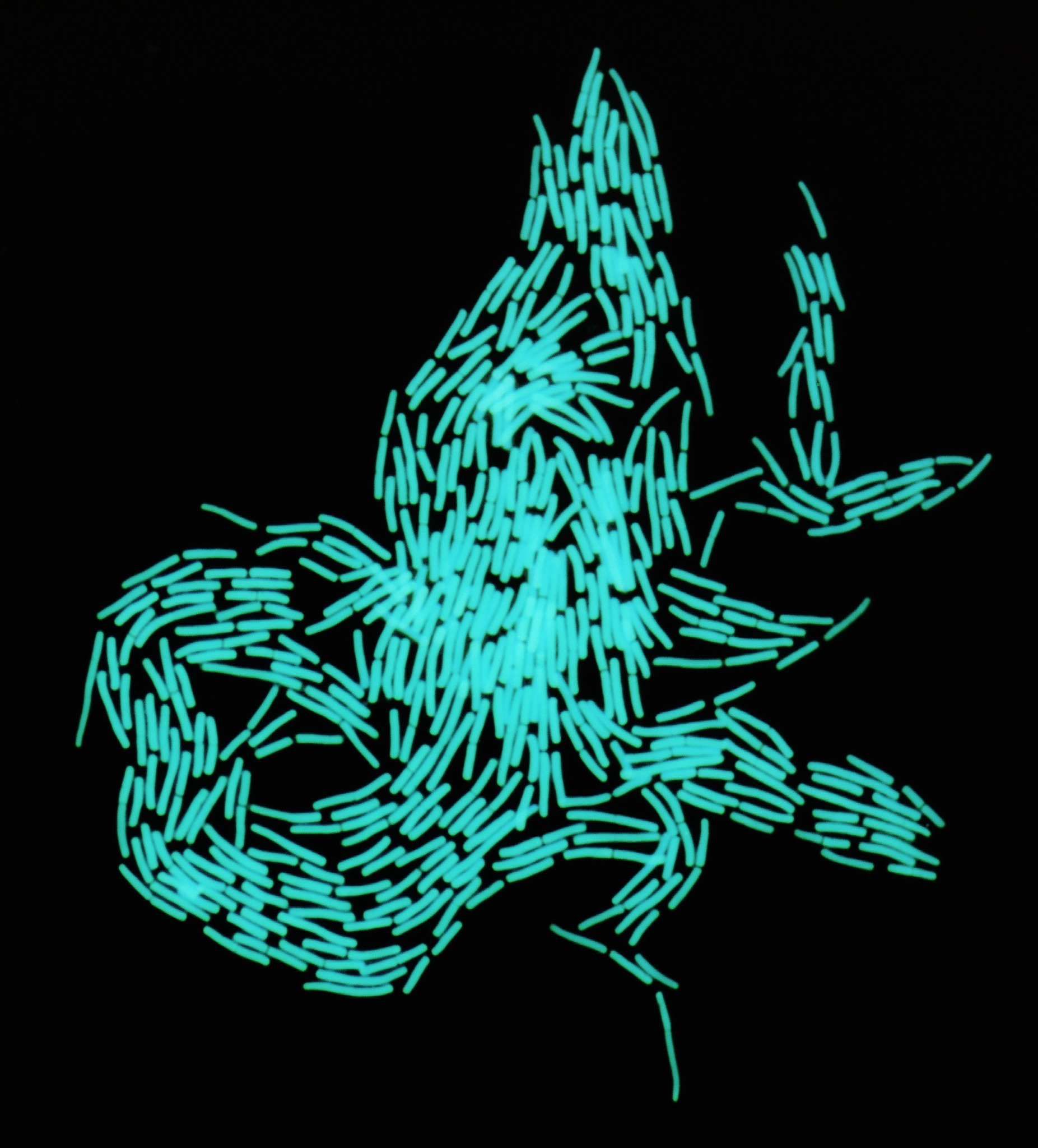 摘要中不同生境饲用品质比较应该怎么写