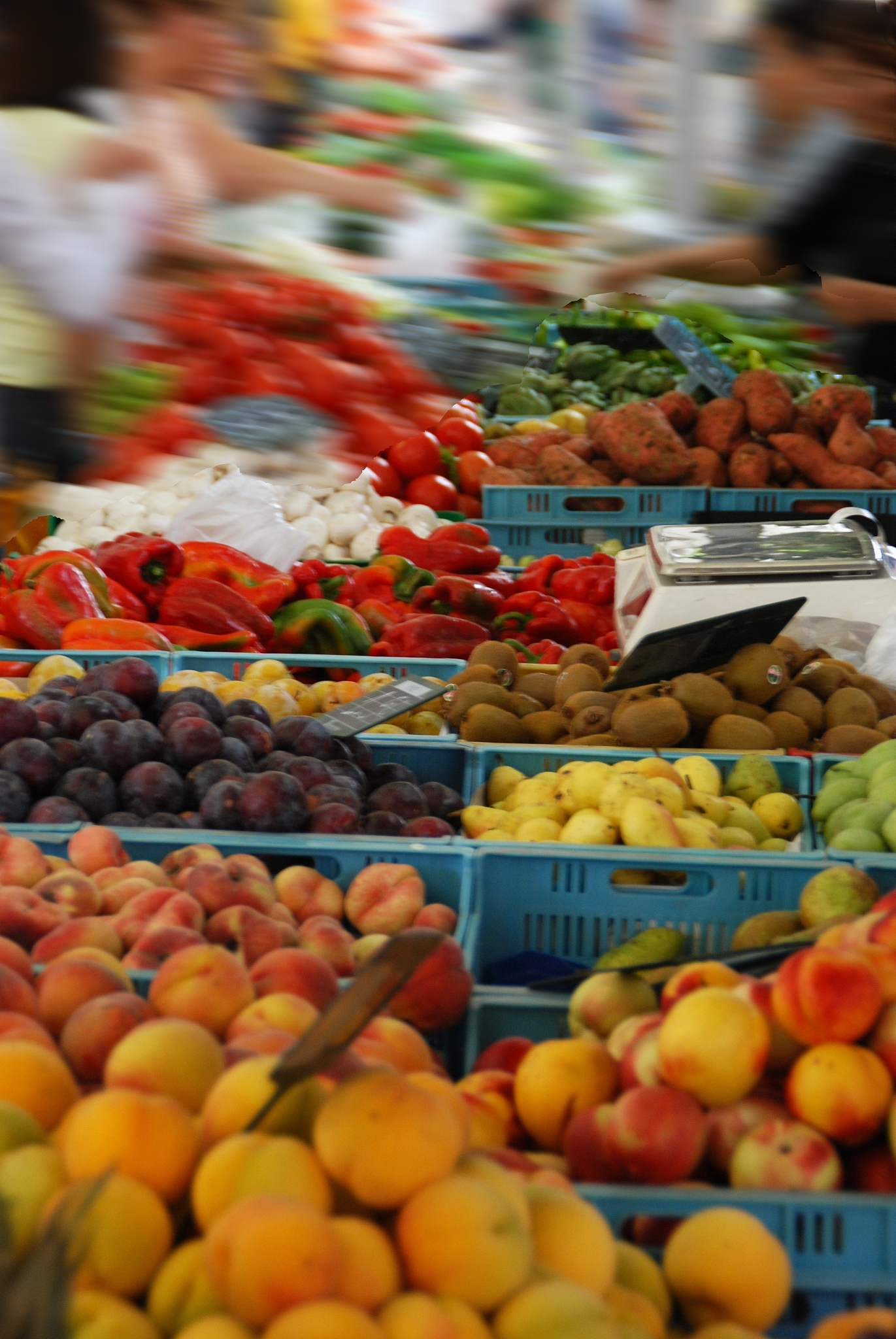 水果收购与贩卖公司的概述