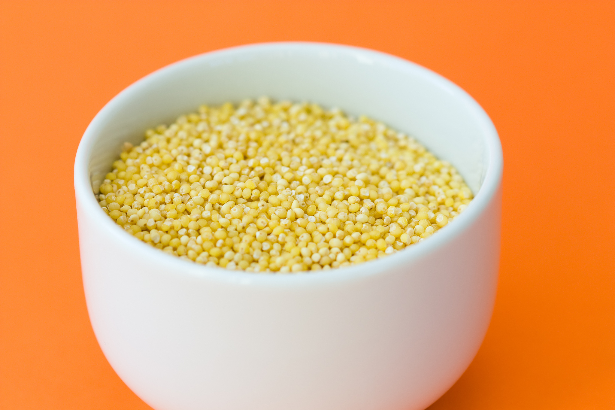 sorghum