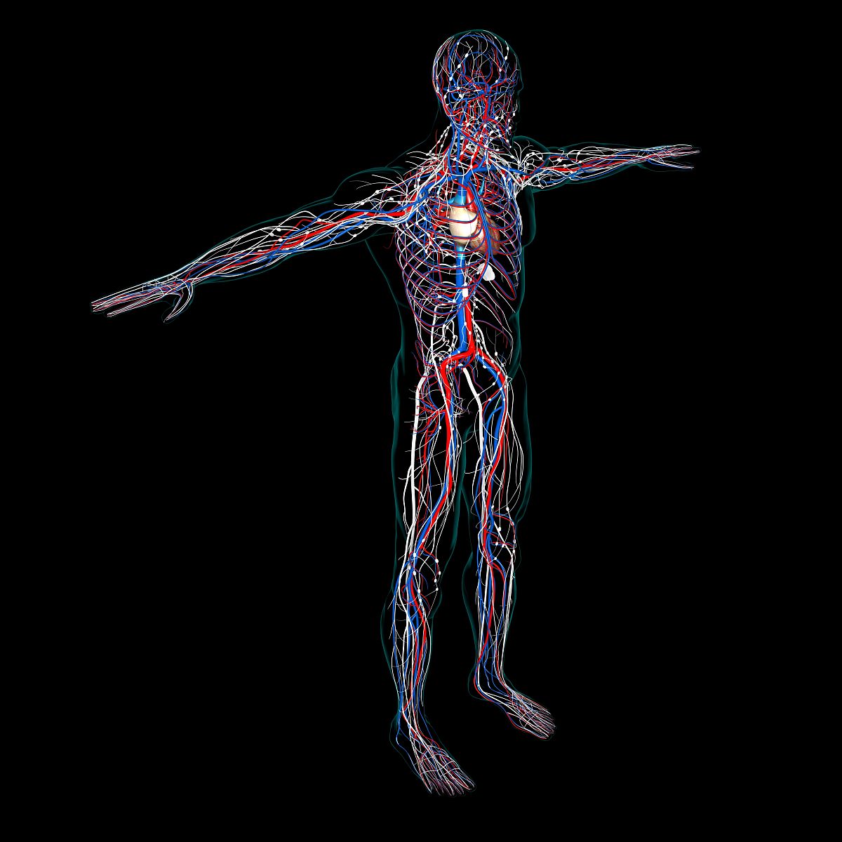 医学史：了解医学发展，启迪未来