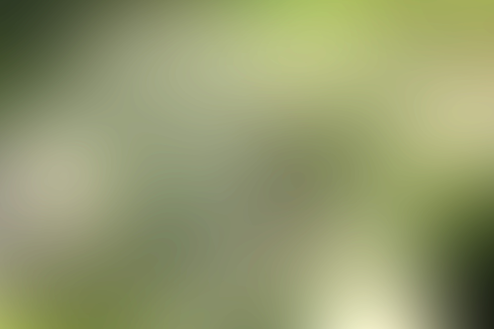 成都市计算机职业学院软件专业怎么样？就业前景、学习氛围深度解析