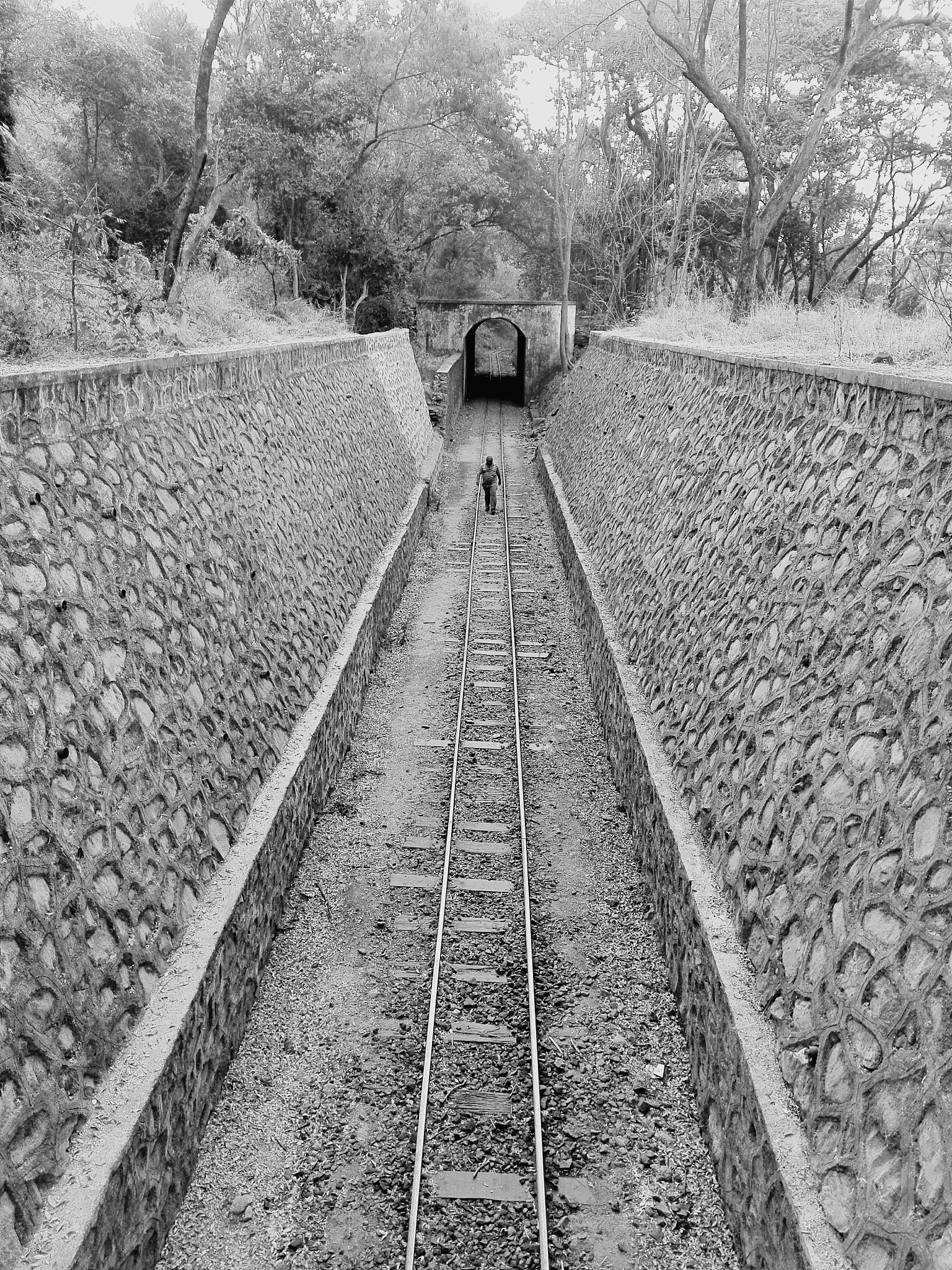 2021年遂宁的职业学院中铁路轨道专业的招生情况