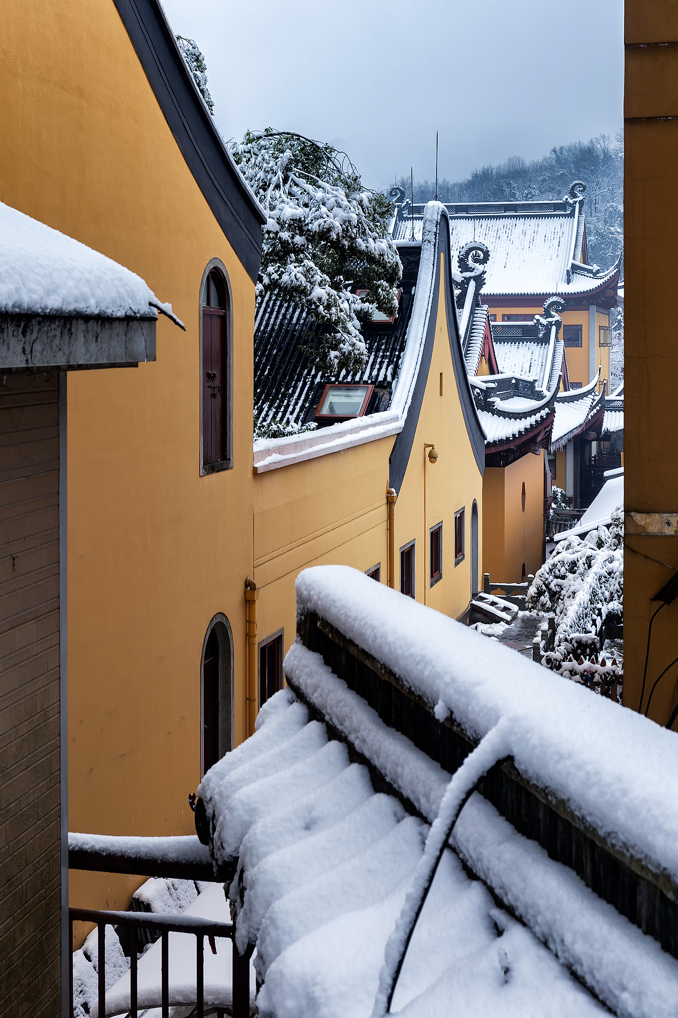 杭州 5天4晚 休闲旅游 路线