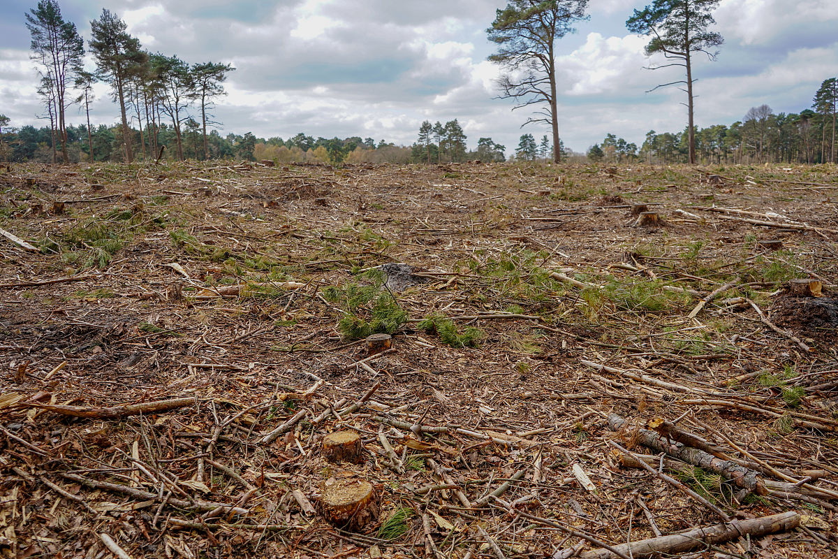 贵州2023年中专读什么专业好