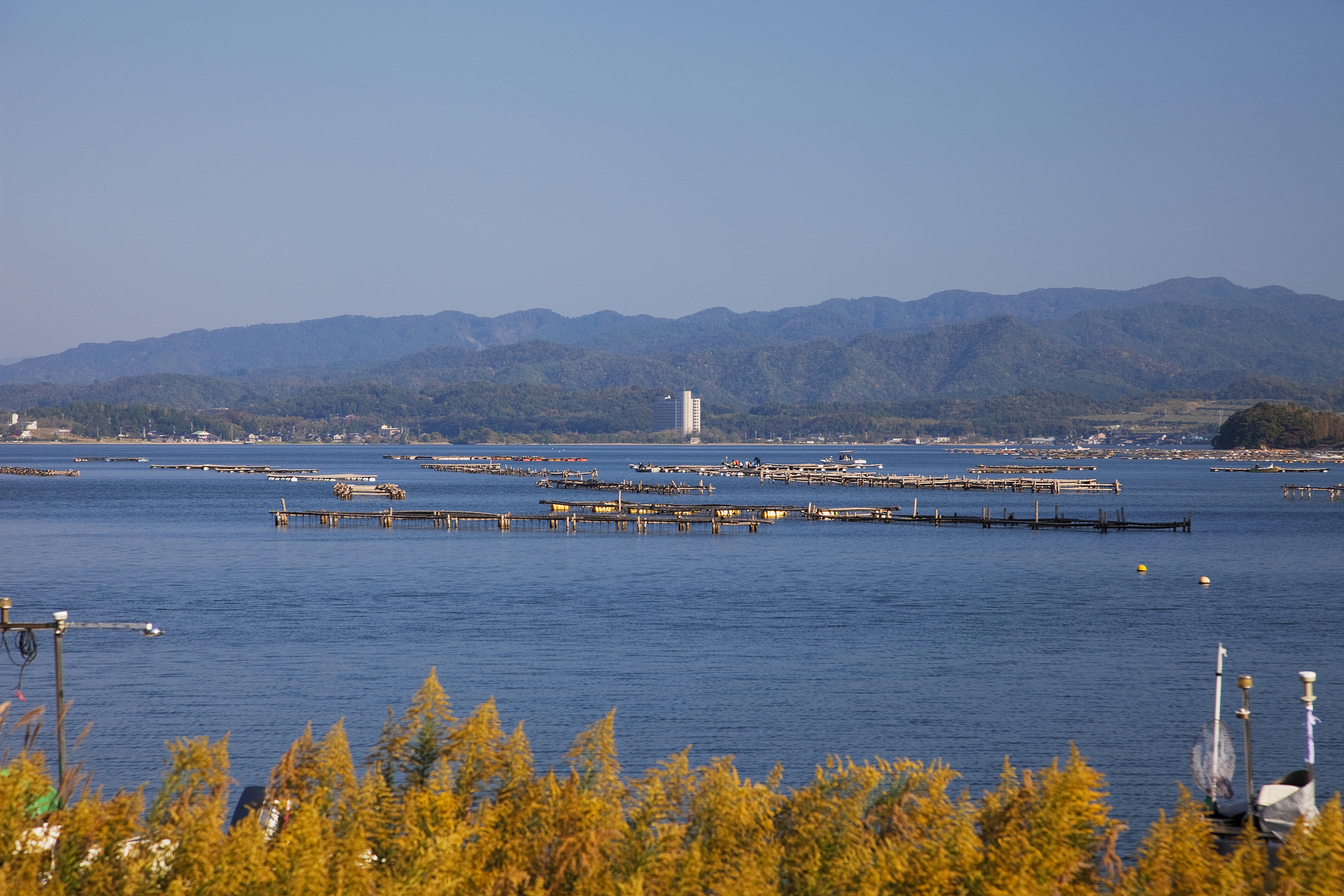 柳州职业技术学院广告设计与制作专业涉及哪些课程