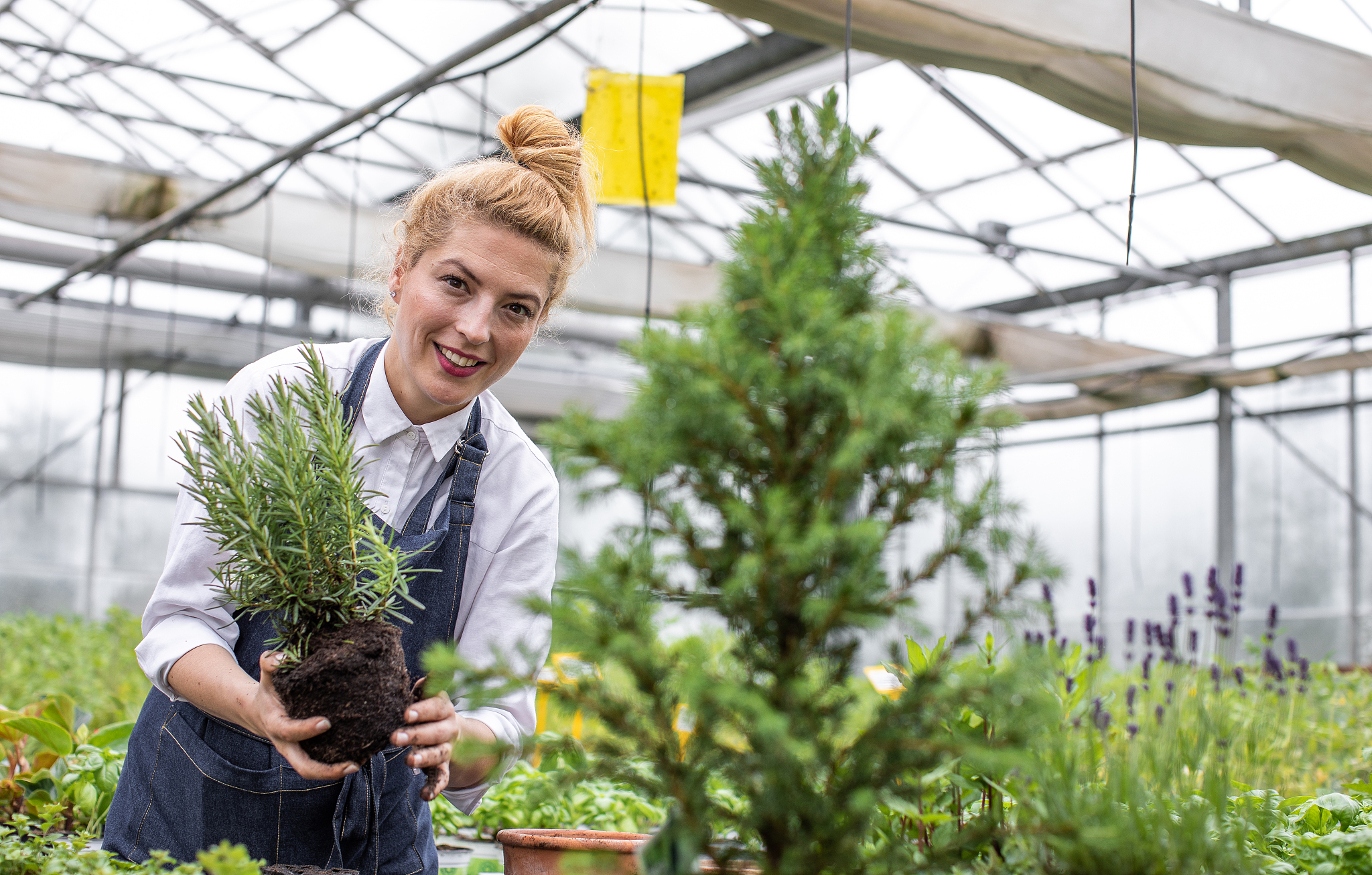 昆明市农业学校五年制大专招生地址 - 培养农业人才的摇篮