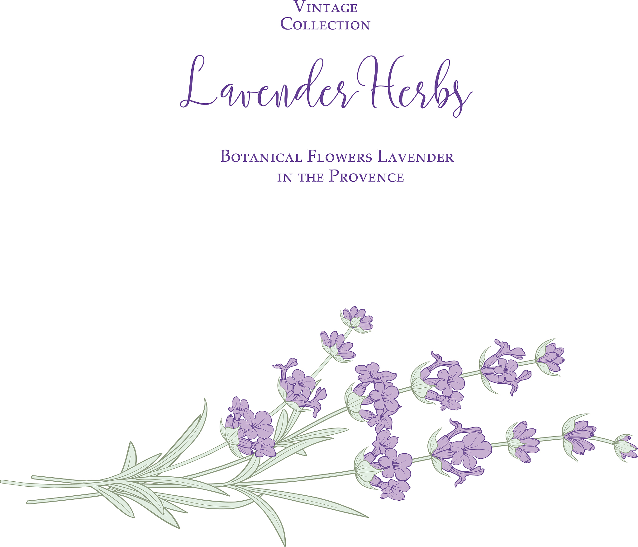 please-analyze-the-medical-ethics-in-flowers-for-algernon-more-than-3000-words