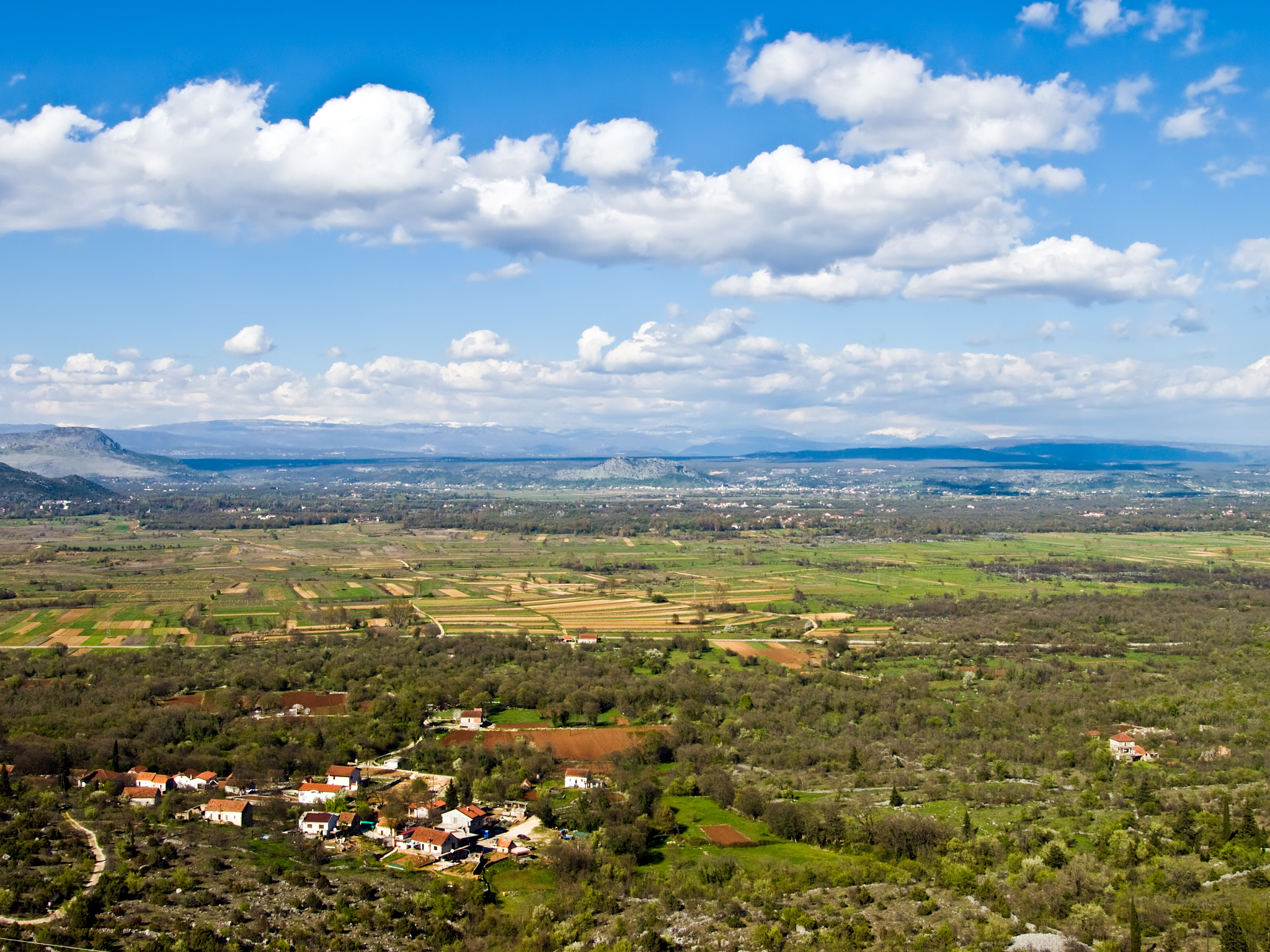 mediterranean