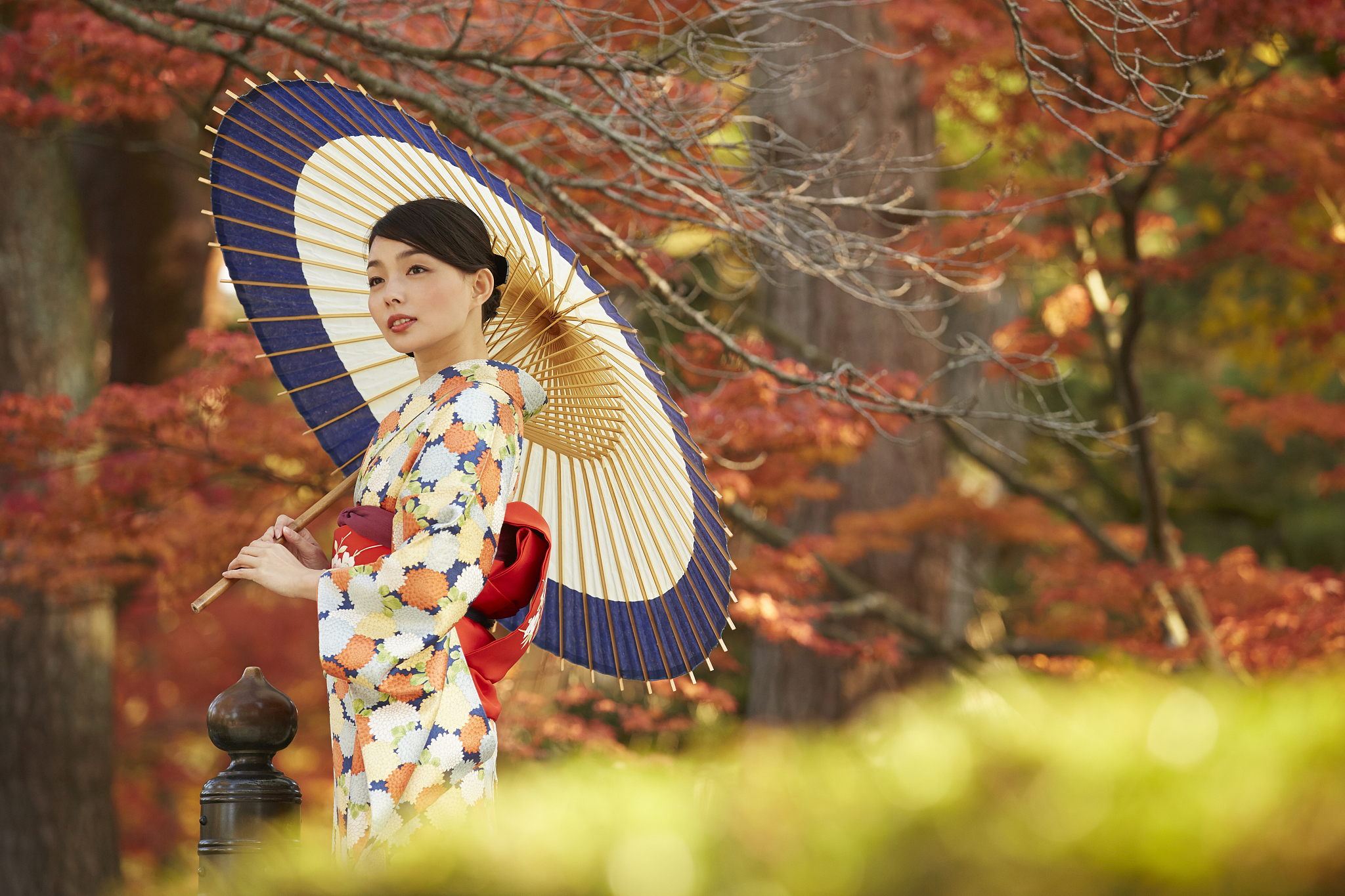 女性 女 女人