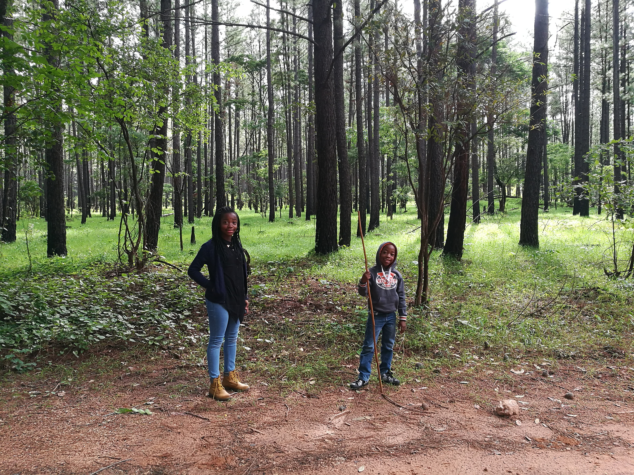 林科院研学：探秘林业科学，培养未来人才