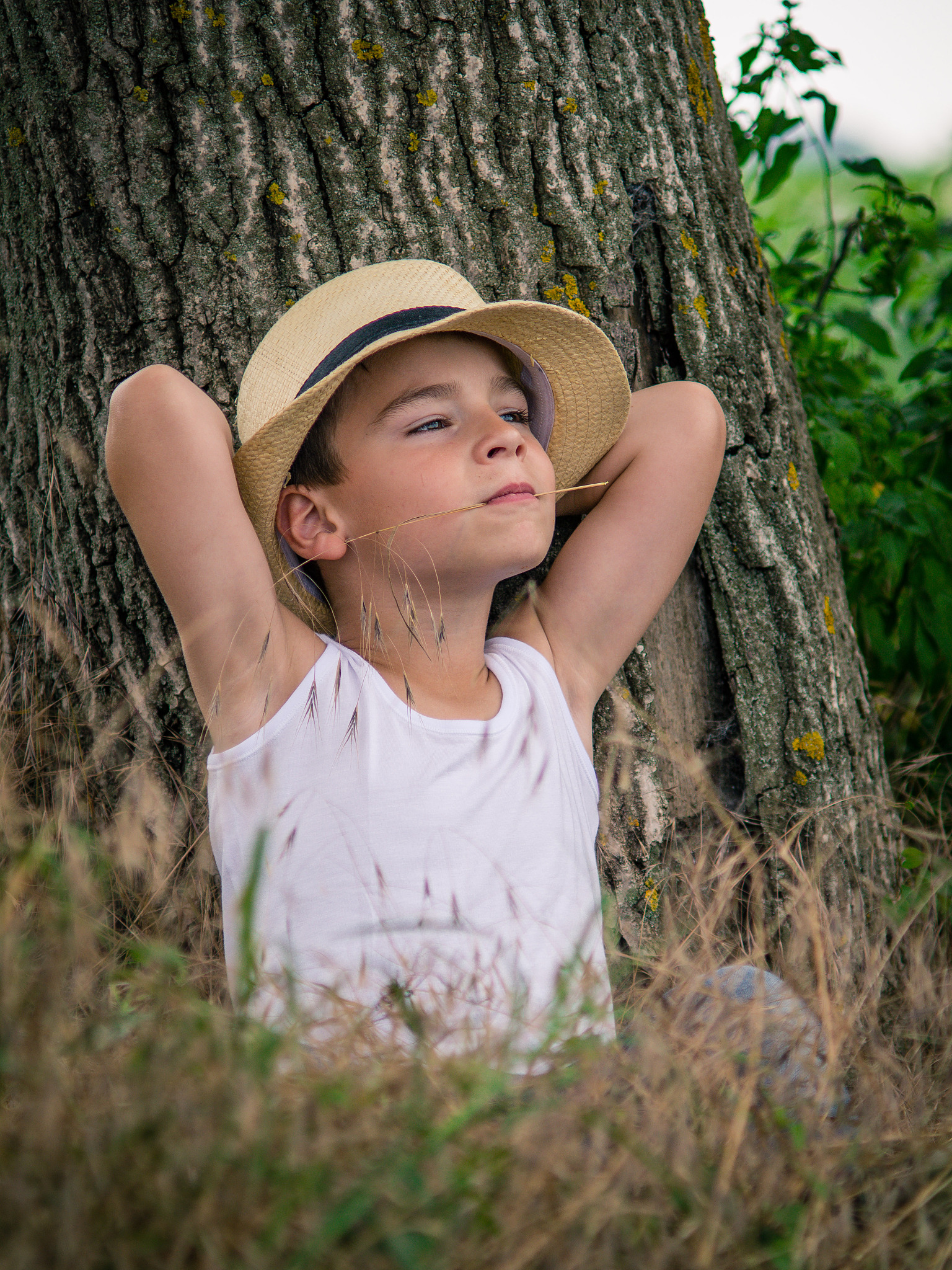a little boy in the field, a life in the countryside