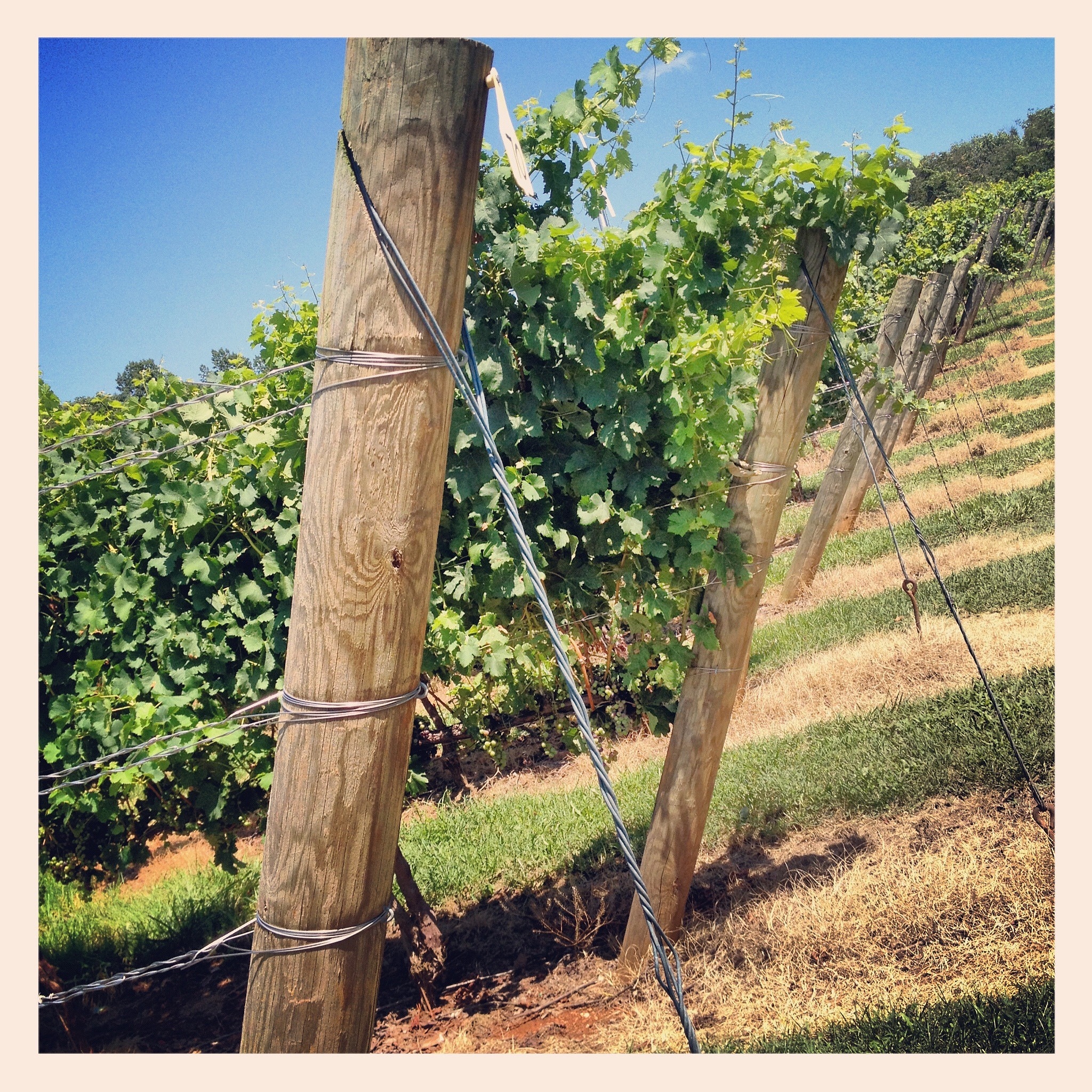 辽宁省农业经济学校2022年录取分数线及情况