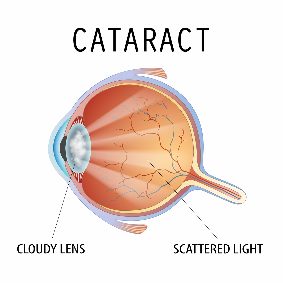增加道德与法治教师教学手段方法