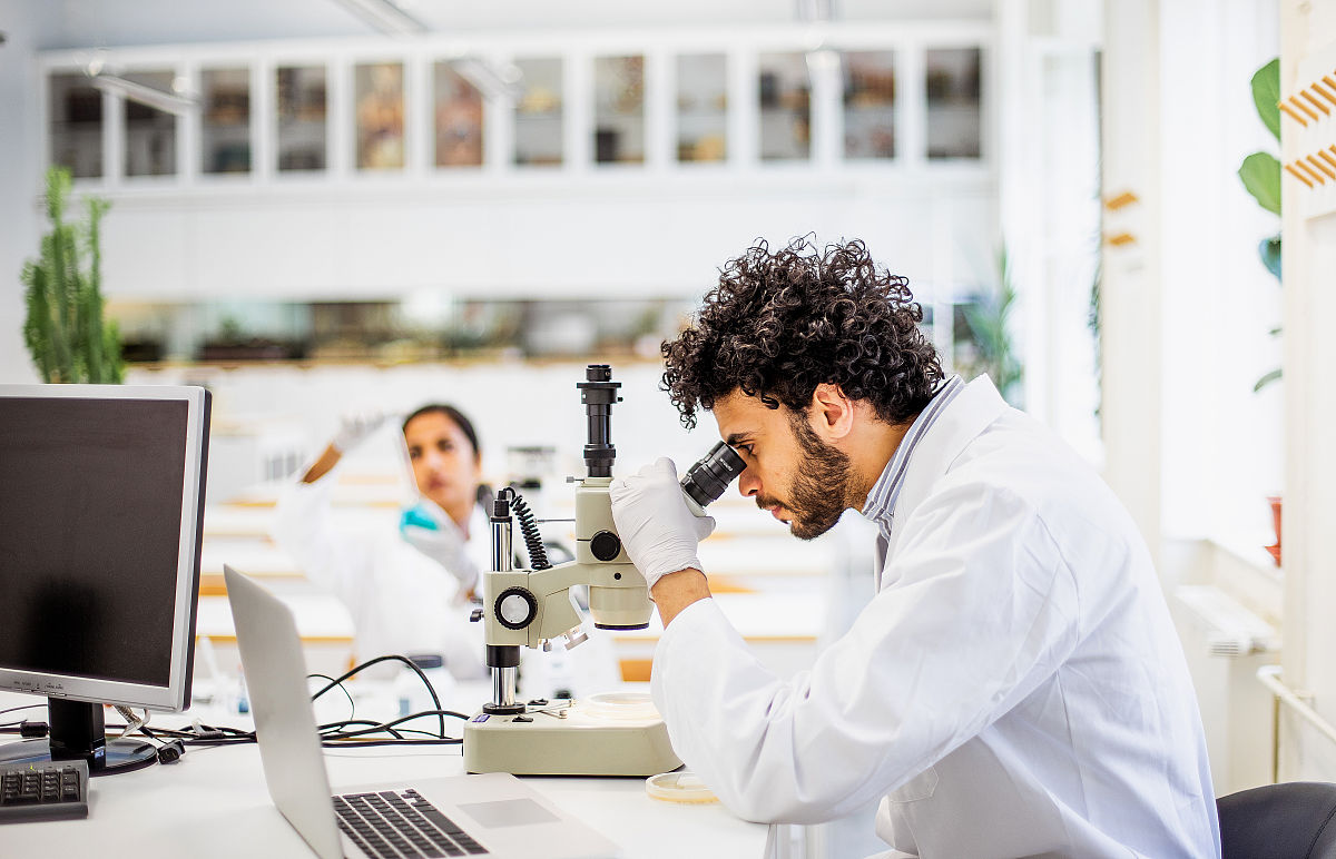 写一篇关于社会实验的论文