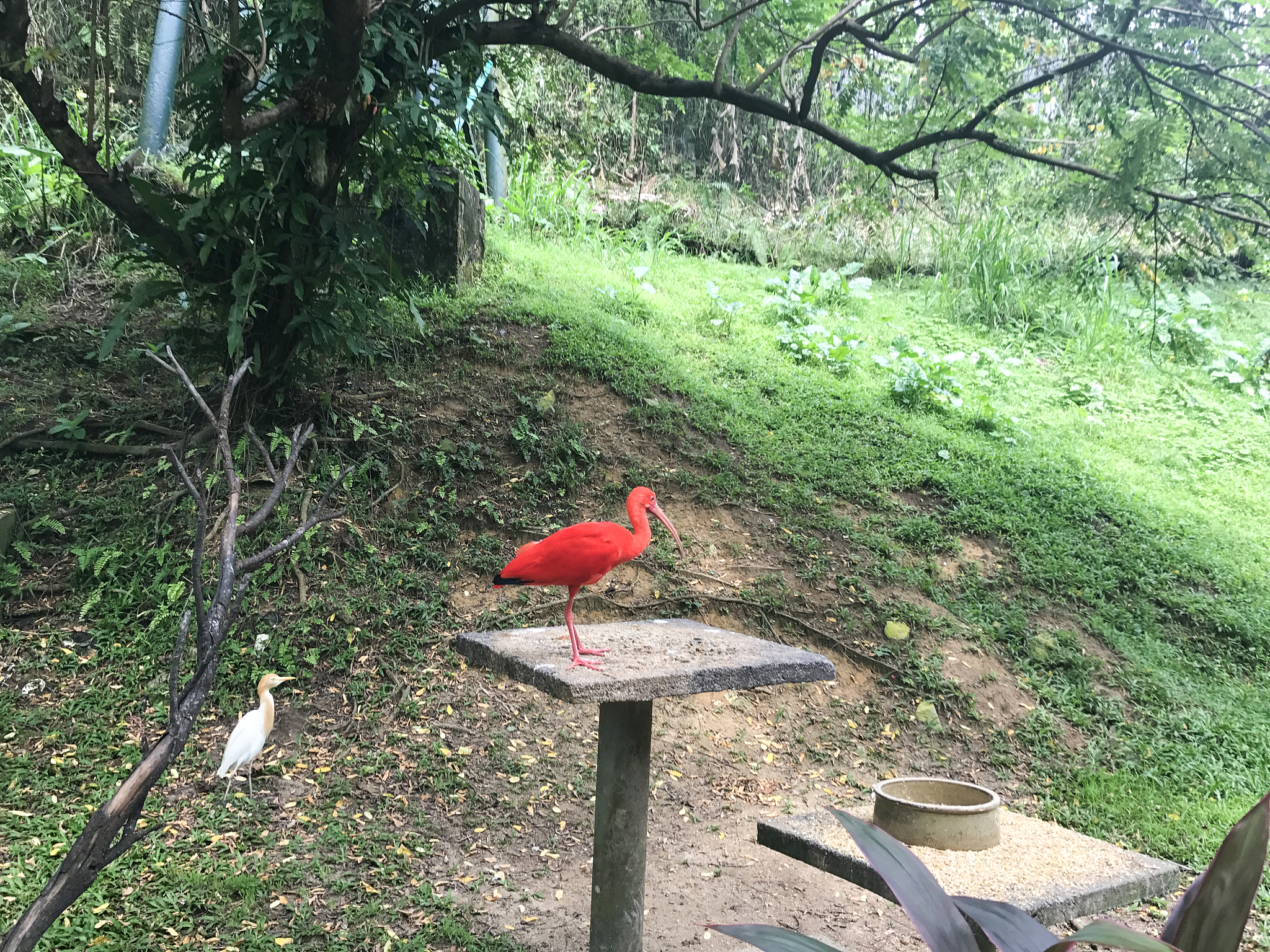 湖北团风县动植物资源丰富，助力生态经济发展