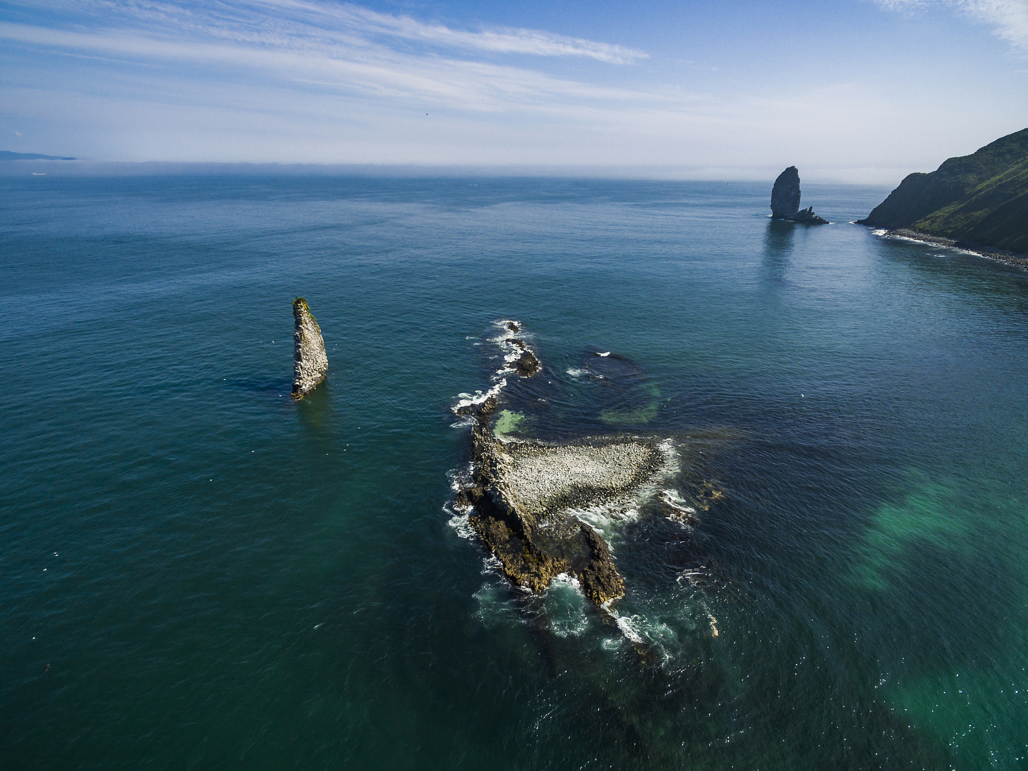 温州海域现大量漂浮假烟：环境污染与消费者权益受损