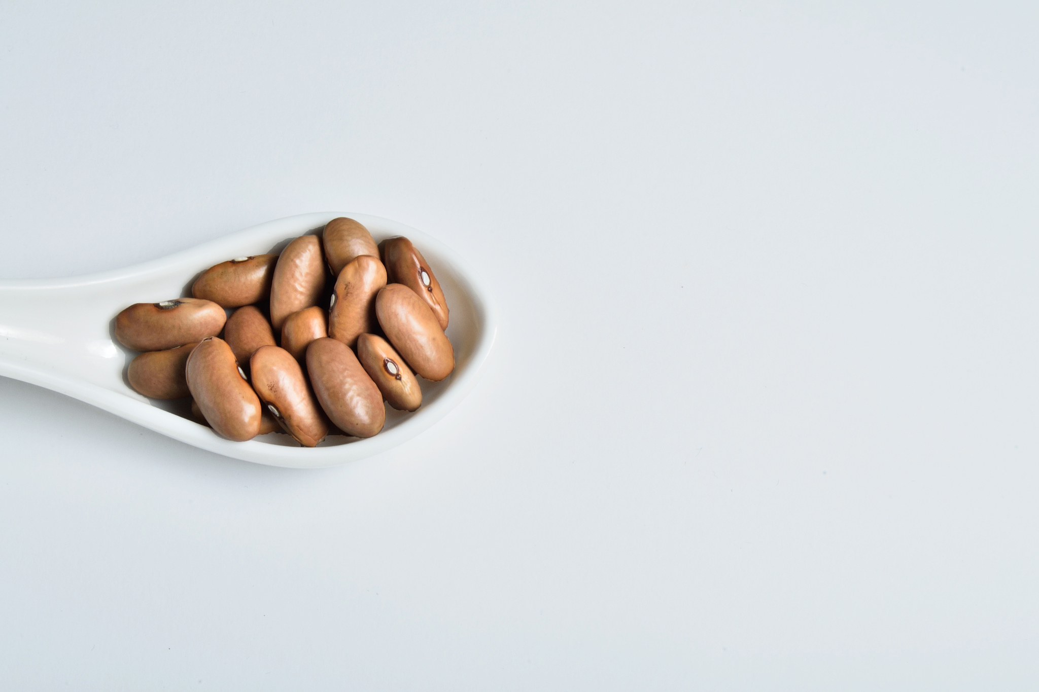 豆角烧肉预制菜冷藏贮存中营养成分变化研究