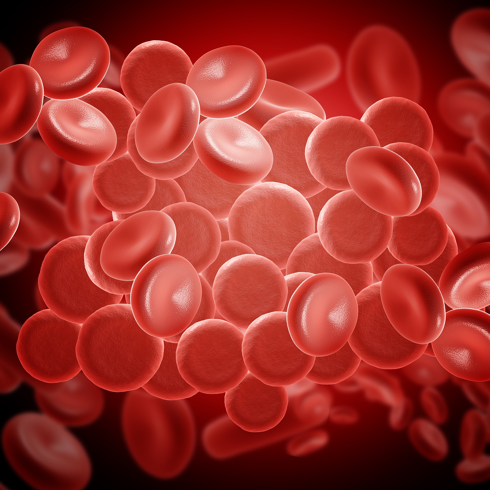 灵菌红素对感染金黄色葡萄球菌小鼠肠道菌群的调节作用 论文，要求包括对三大菌门的数据分析详细过程