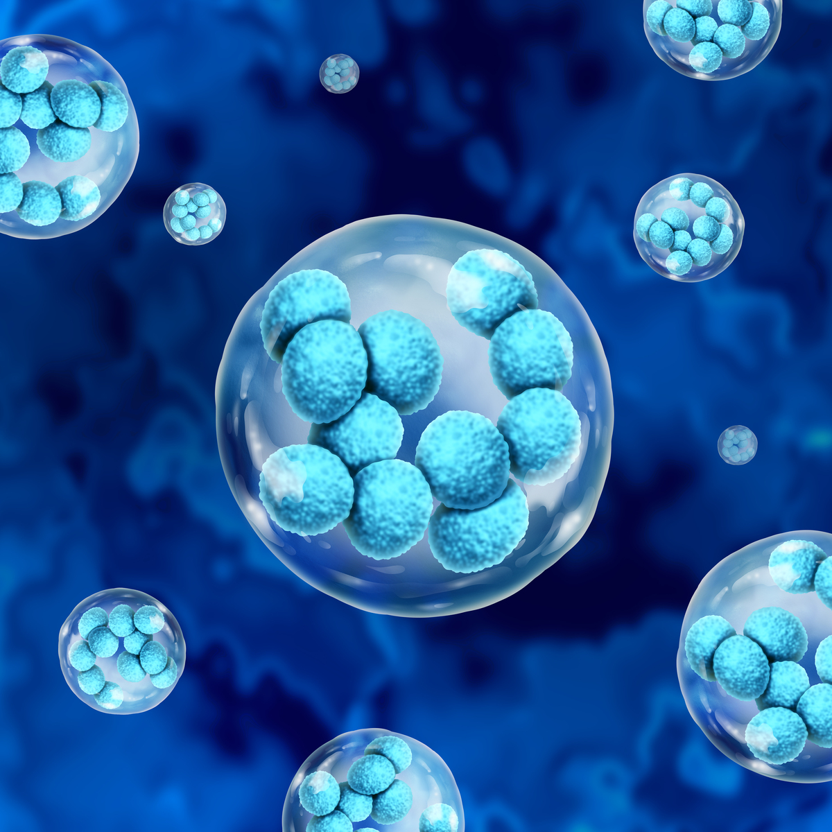 Stem Cell Reports期刊研究范围详细介绍？