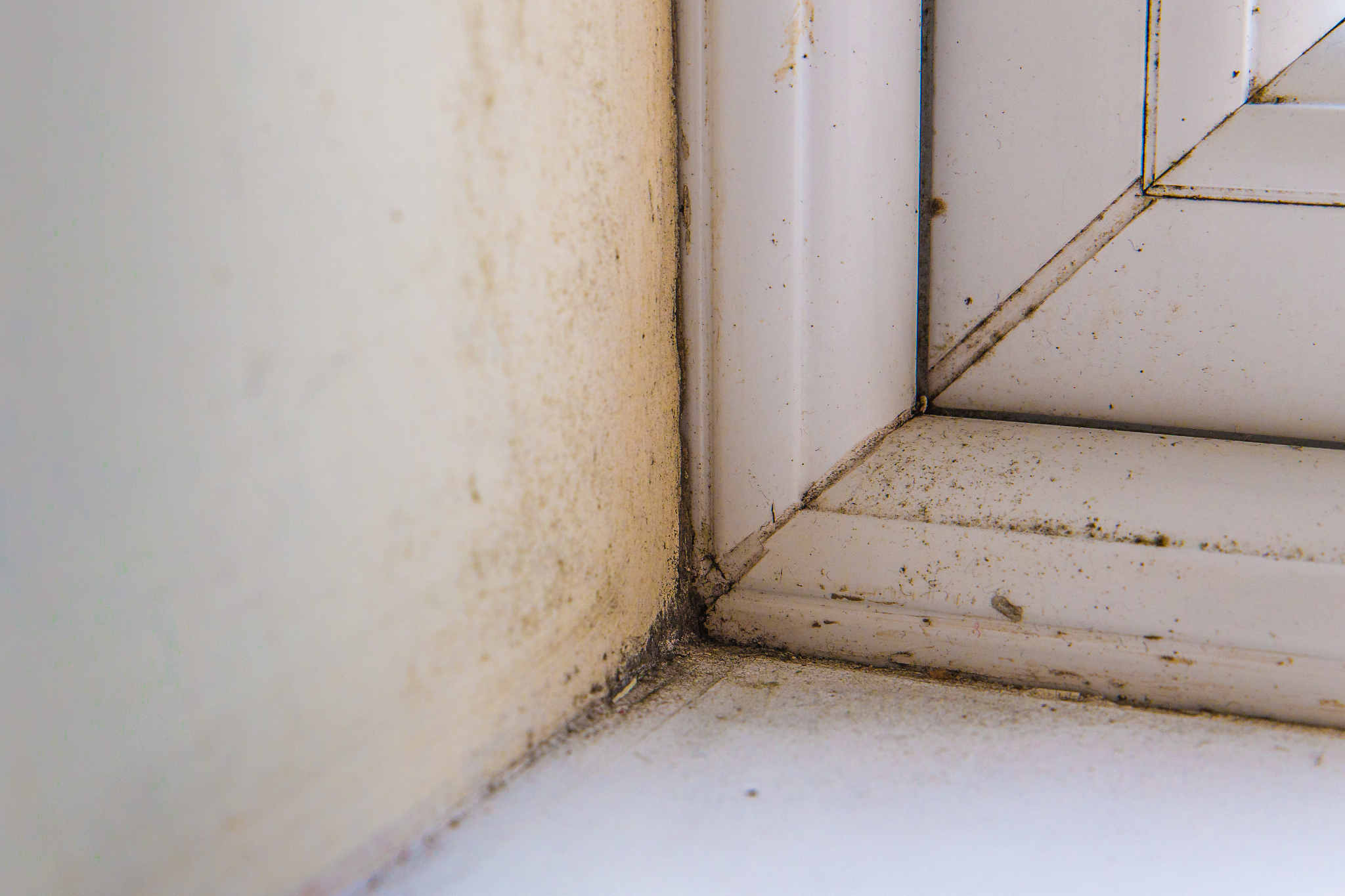 货物索赔分析：通风问题及燃油舱温度对货物的影响