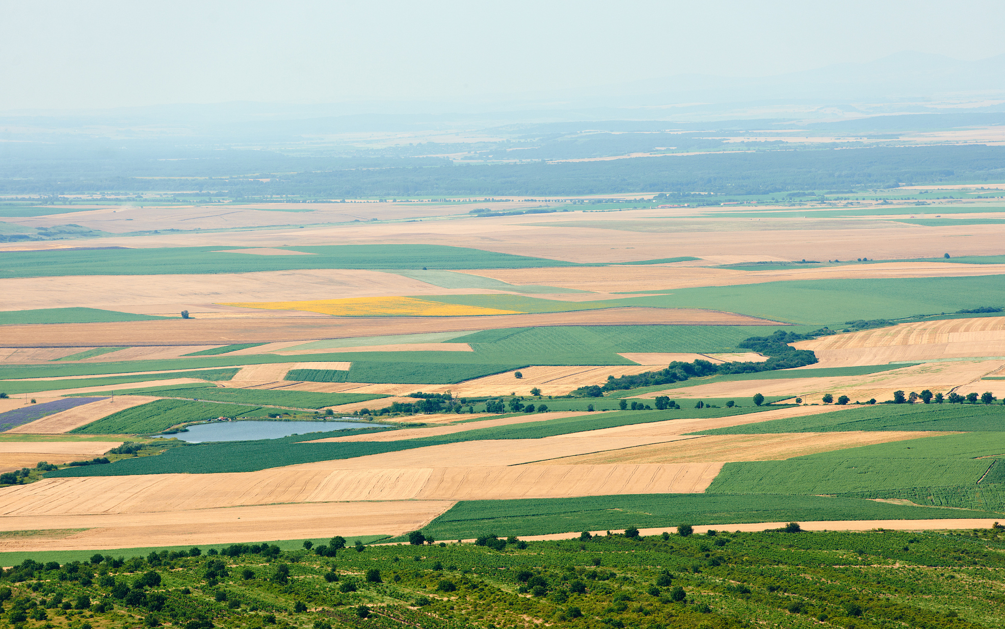 summer landscape from bulgaria