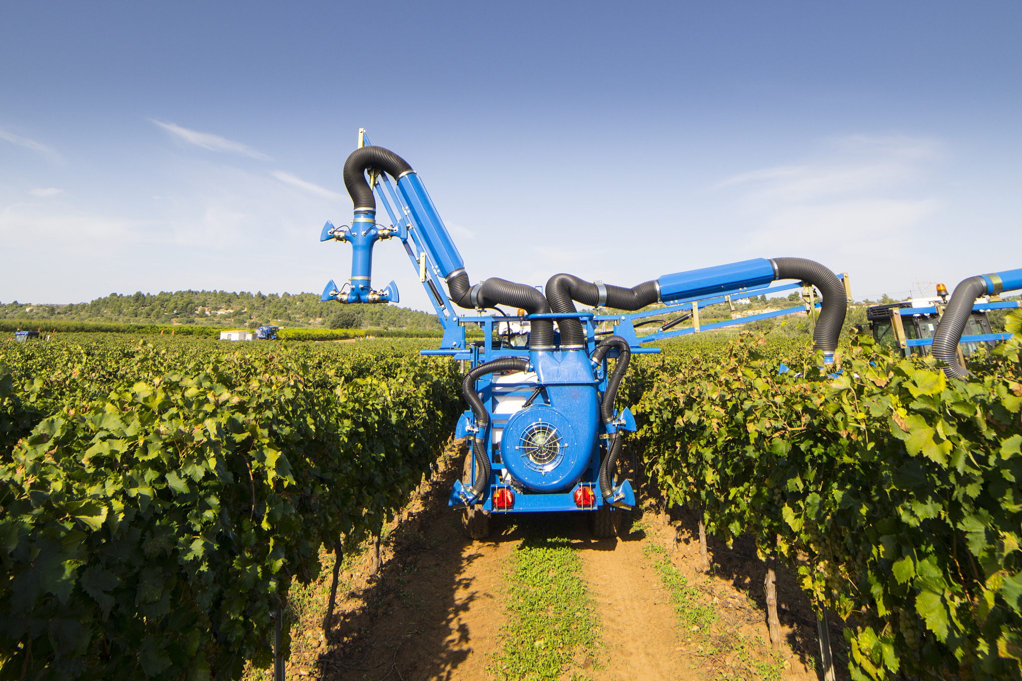 黑龙江农业工程职业学院单招有药剂专业吗？ - 专业解析与学习方向