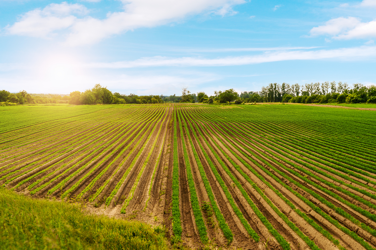 耕地保护金额什么意思