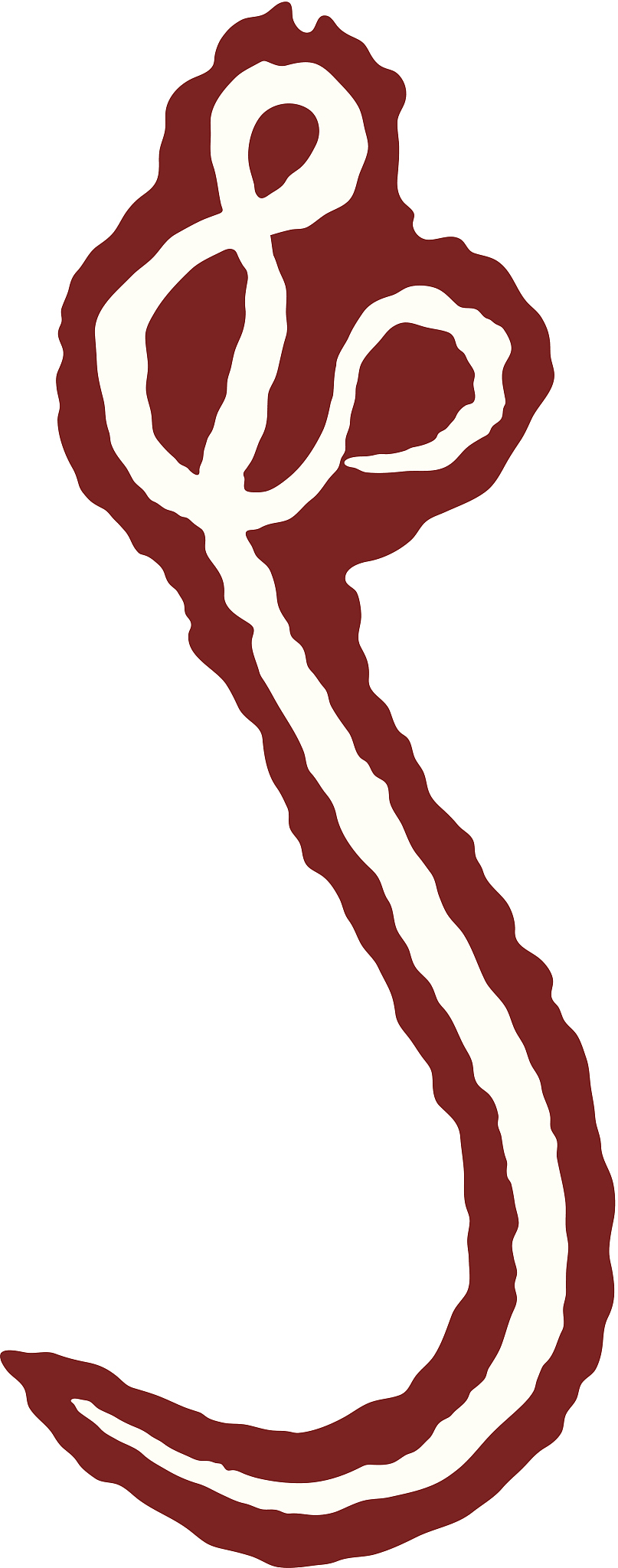 ebola strain
