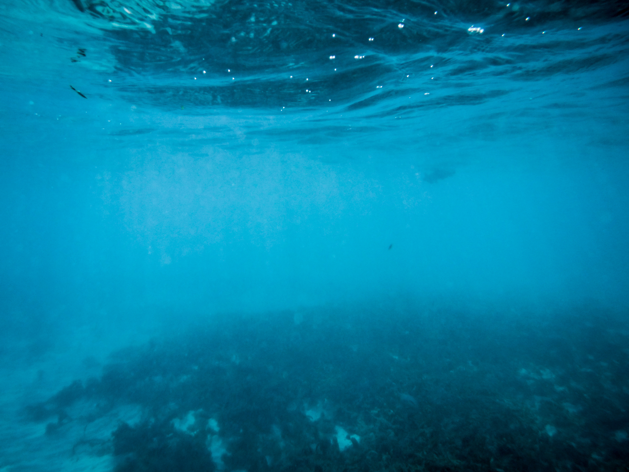 underwater