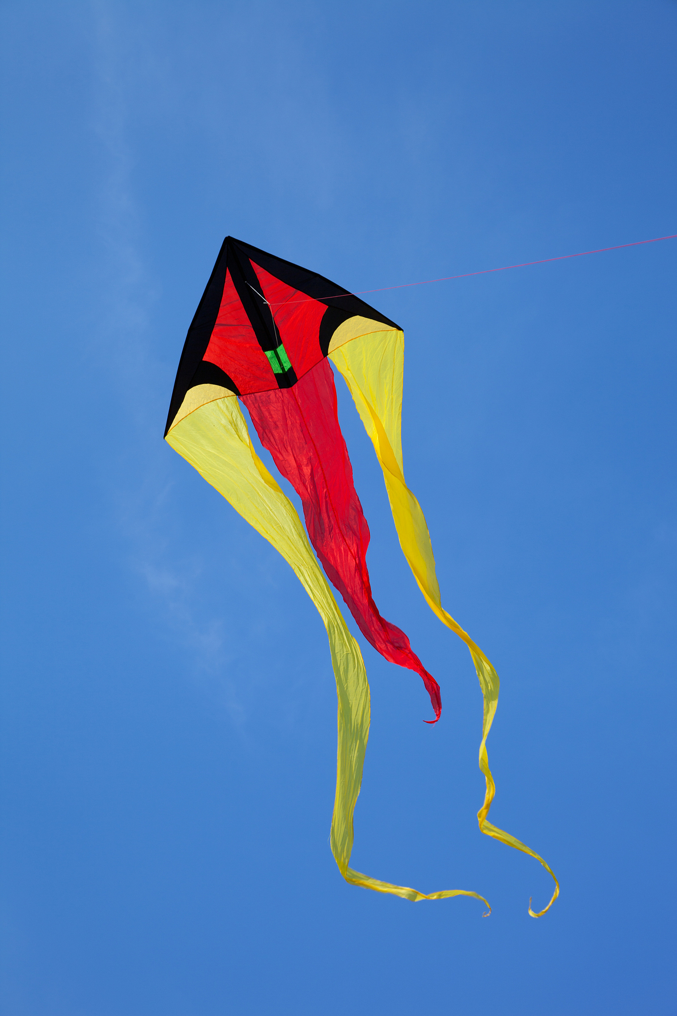 kite flying in the sky