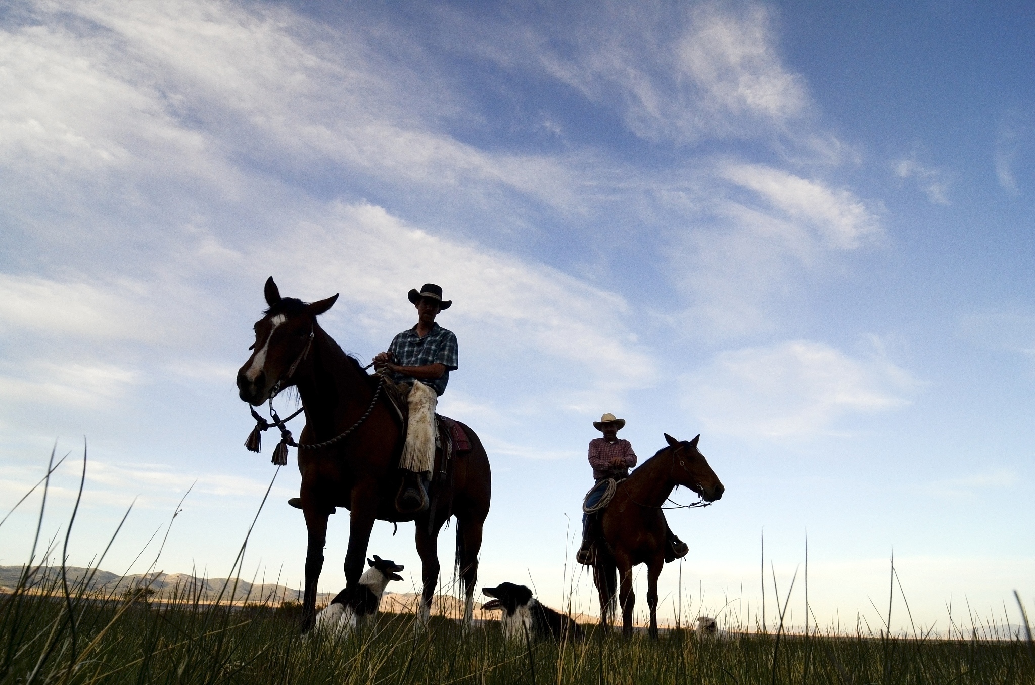 two cowboys and their dogs are silhouetted at sunset on the dalt