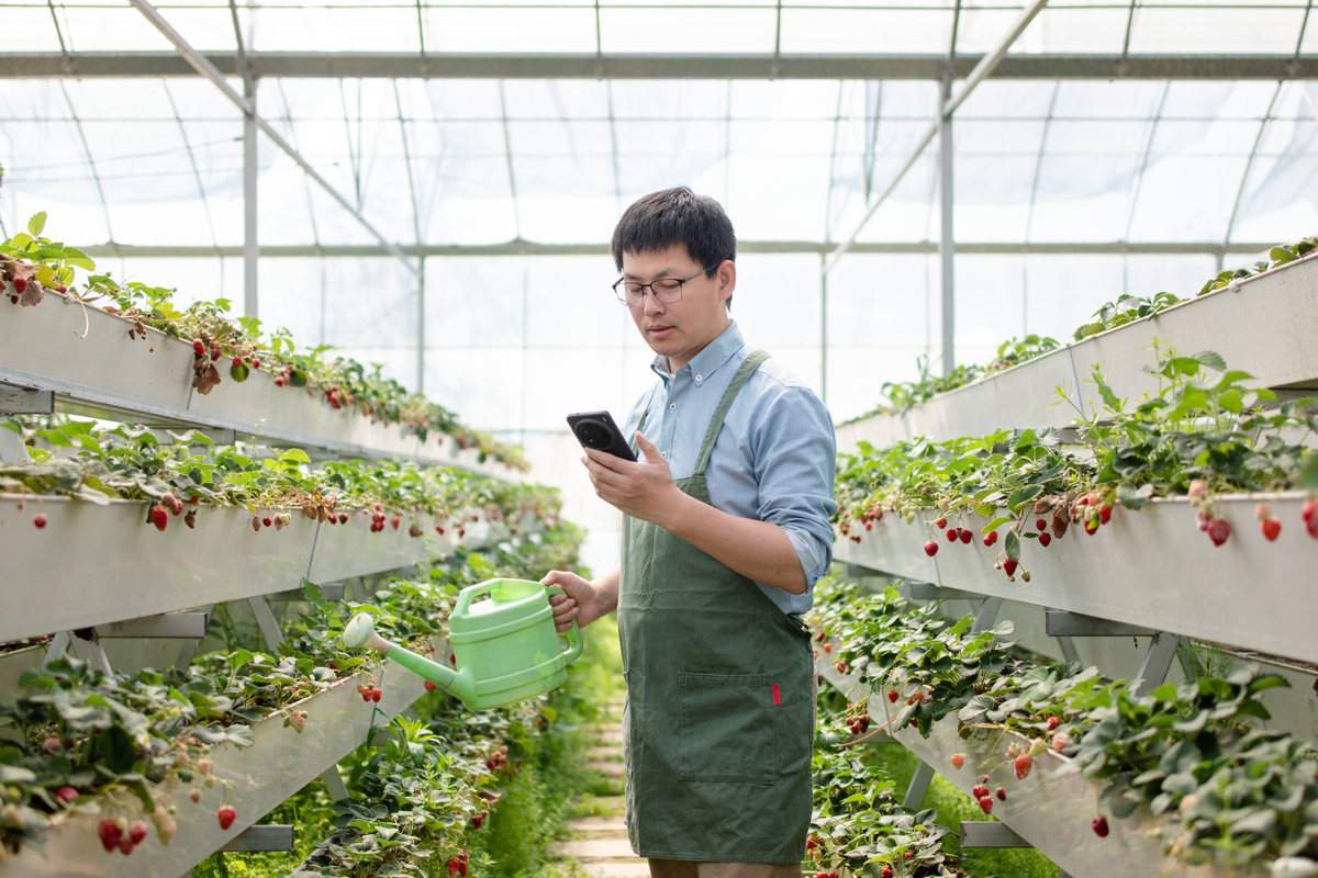 请你写一篇关于人工智能在农业工作中的应用的研究论文要在3000字及以上