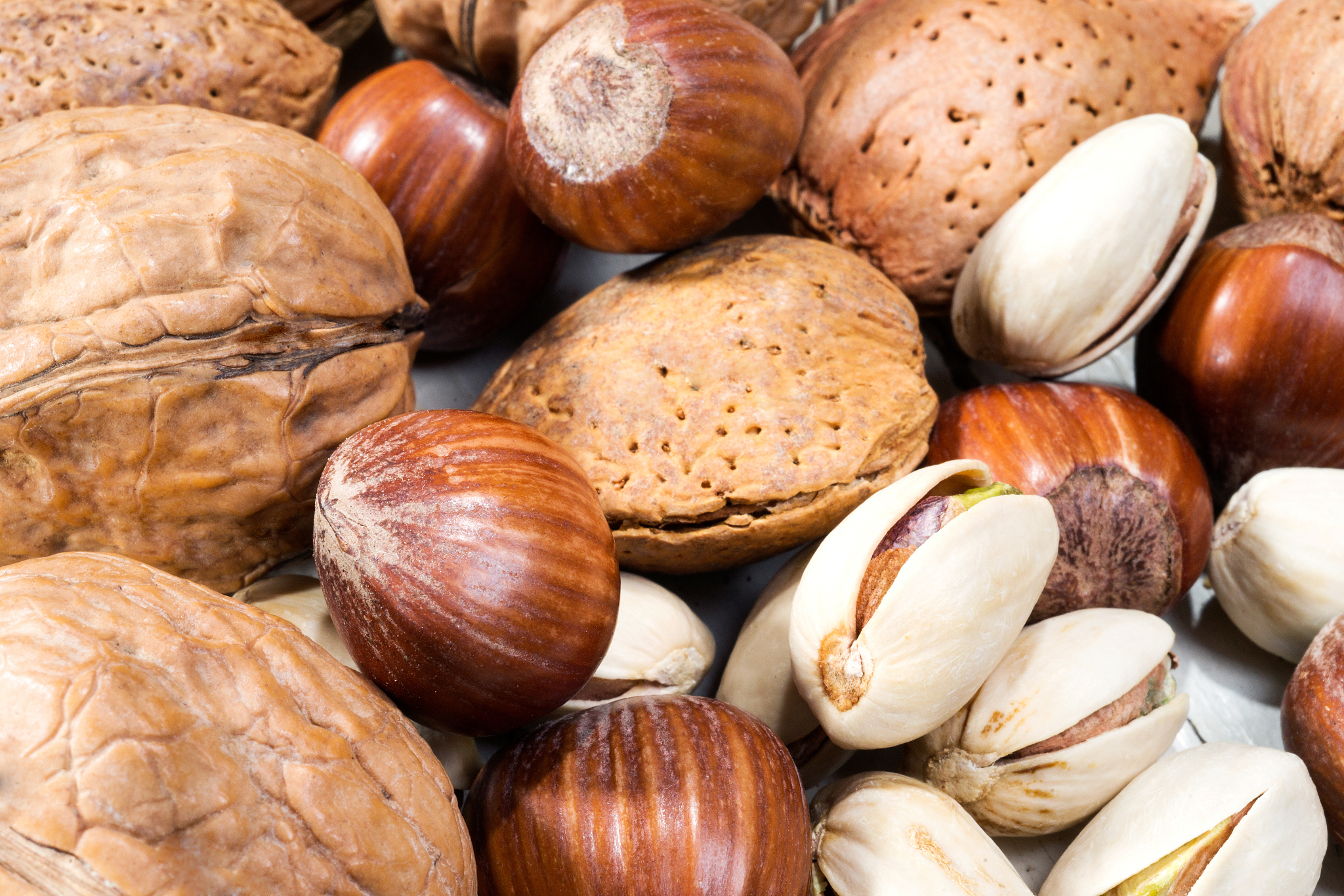 请翻译蛋白含量