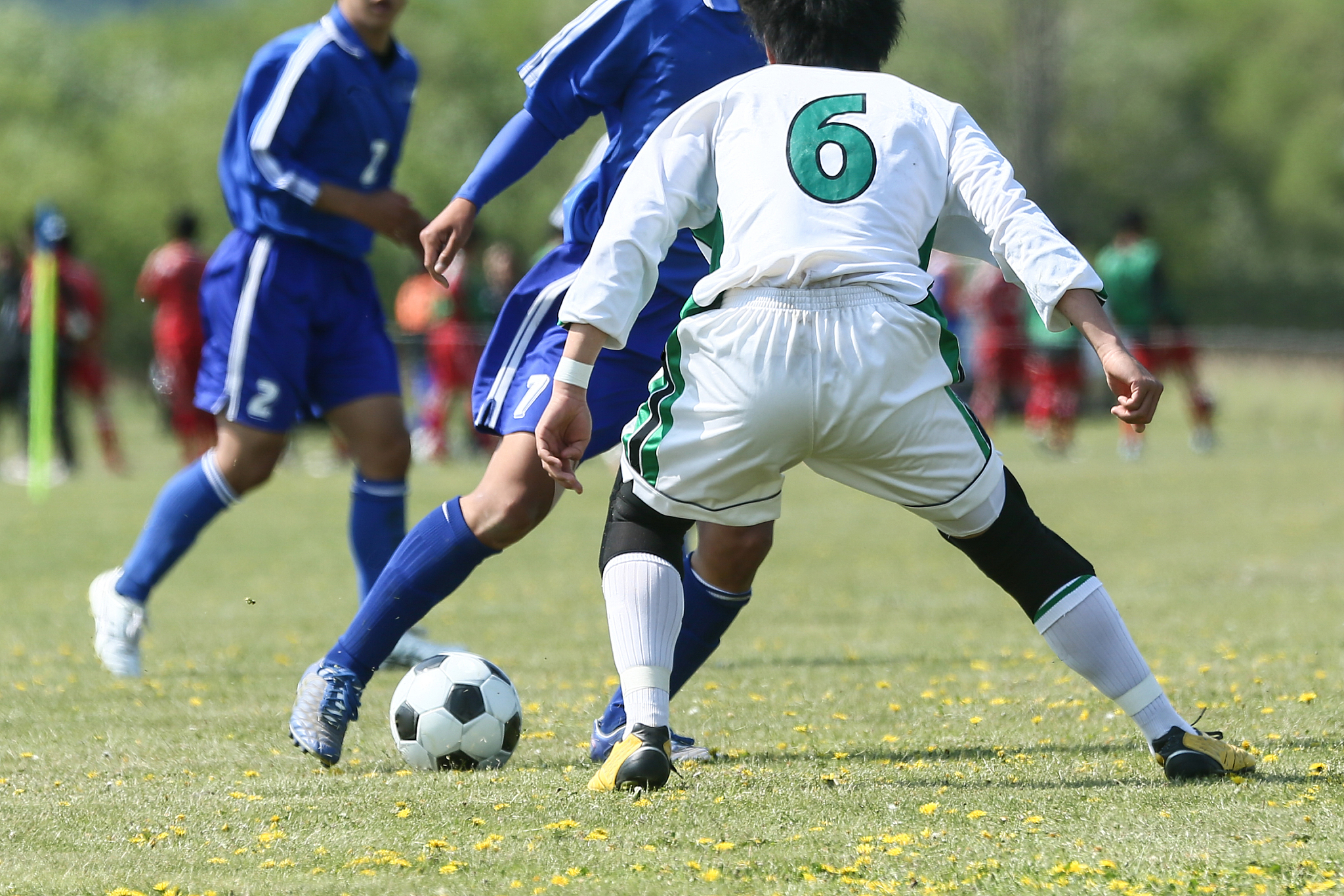 soccer