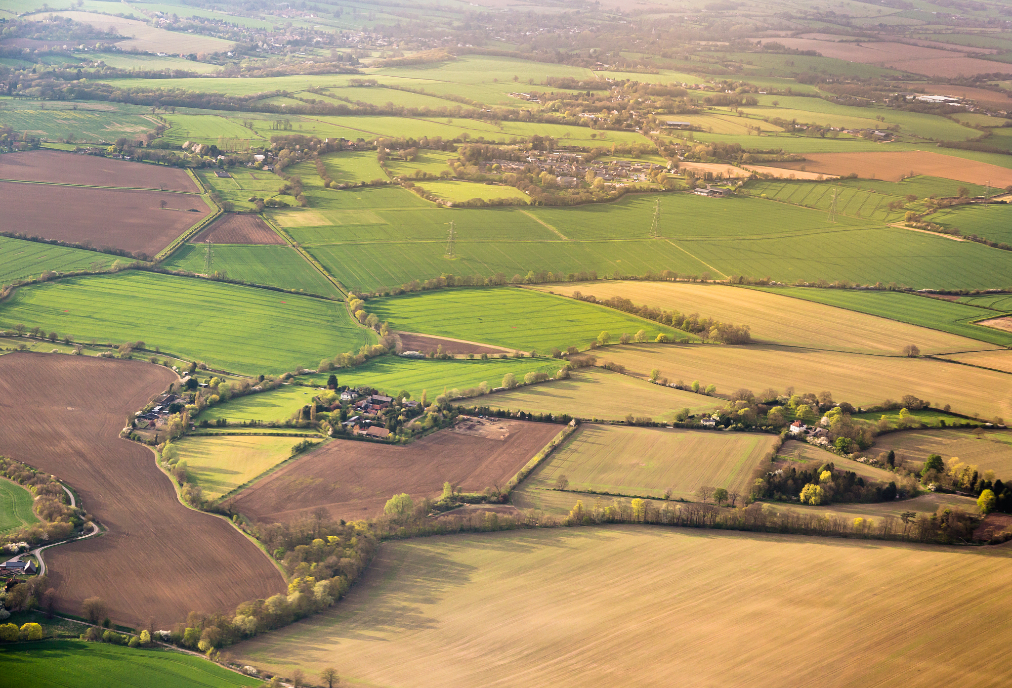 aerial view on field plots in contrasting colours