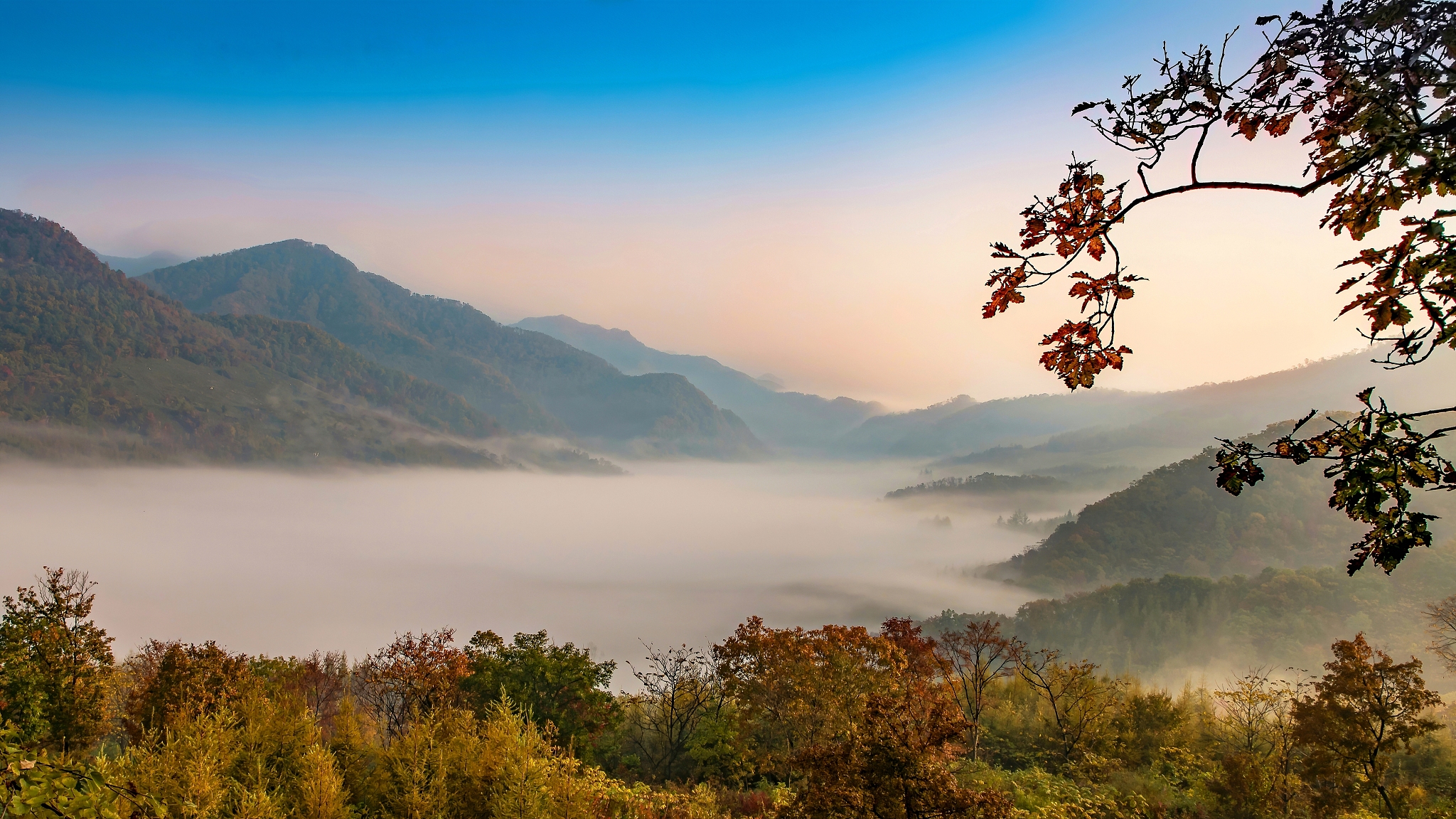 昏头蓝雾群山寂 一首诗