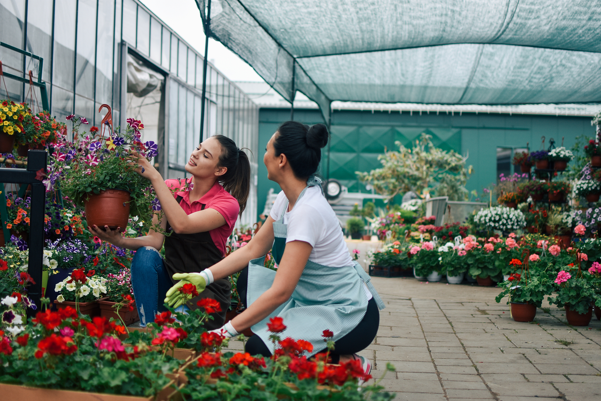 florists women working with flowers in a greenhouse