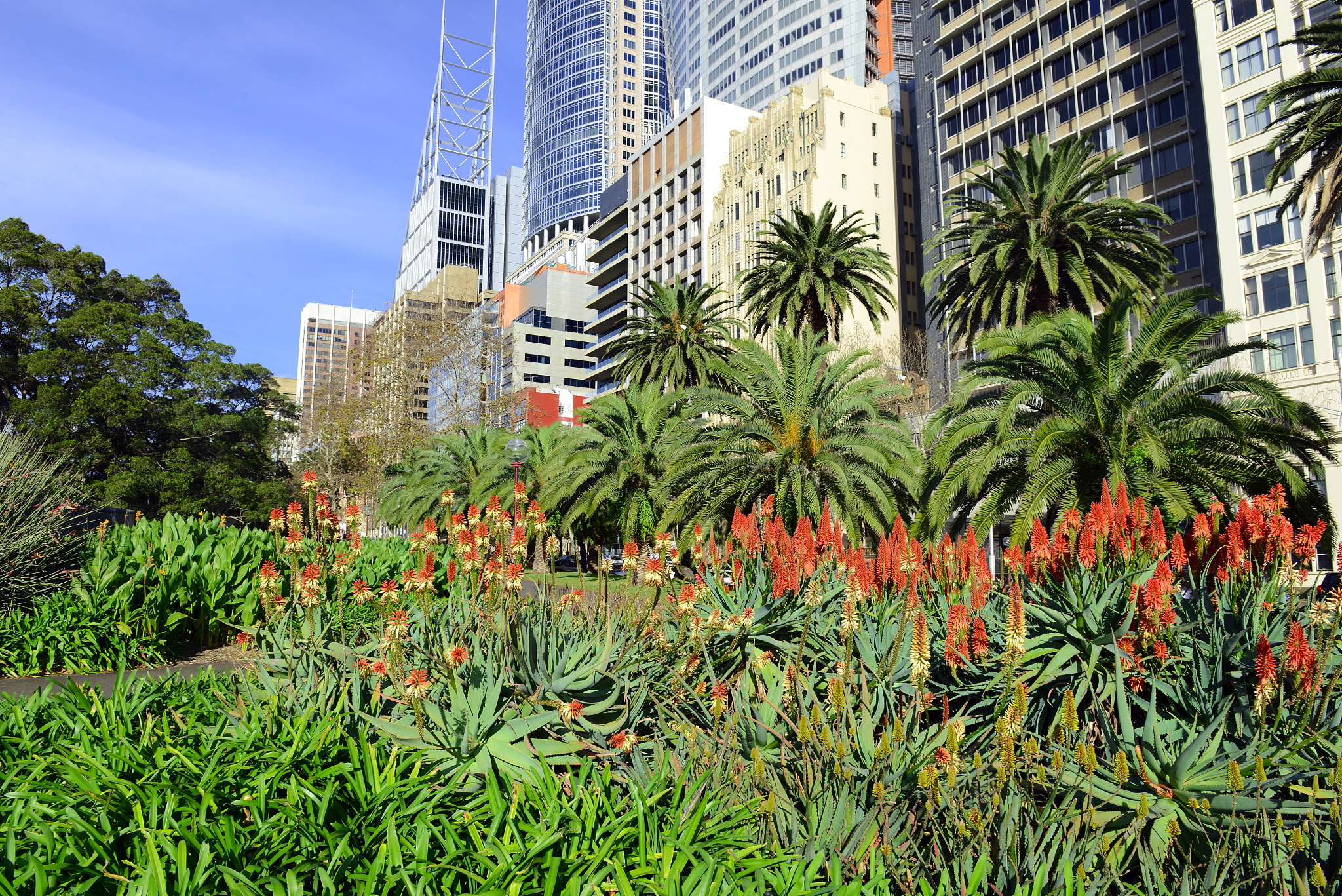 北京市园林学校招生简章