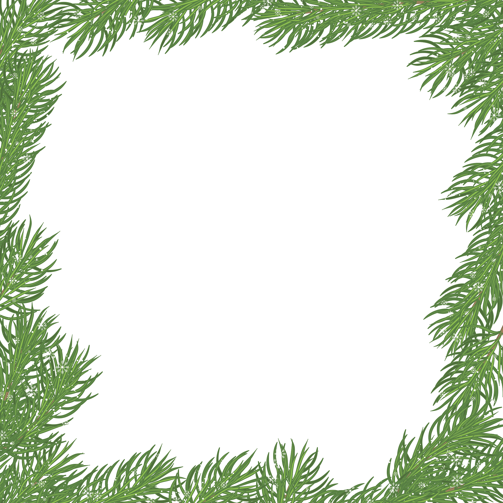 fir with snow
