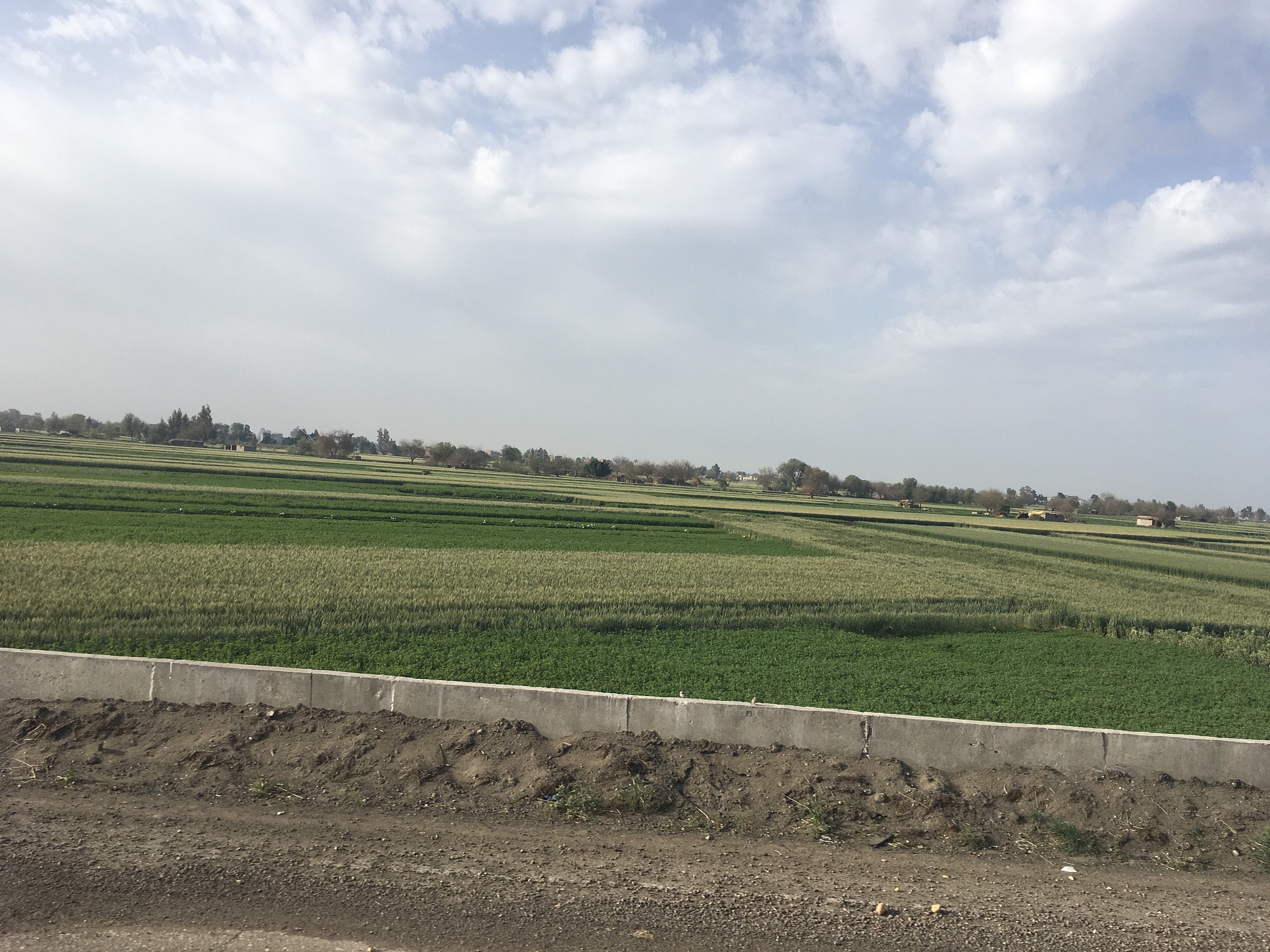 2延安市宝塔区地区农田鼠害情况	221鼠害发生情况	222农田鼠害防治现状	323鼠害的危害	33延安市宝塔区春季农田鼠害多发的原因	431 有利的气候条件	432 食物充足	433鼠类繁殖速率快	534 鼠类天敌不足	54延安市宝塔区春季农田鼠害防治策略建议	641加强鼠害监测加大鼠害防治宣传	642规范鼠药销售和使用	643 推广毒饵站技术	744强化农田管理开展鼠害综合防治	7请勿使用我和我