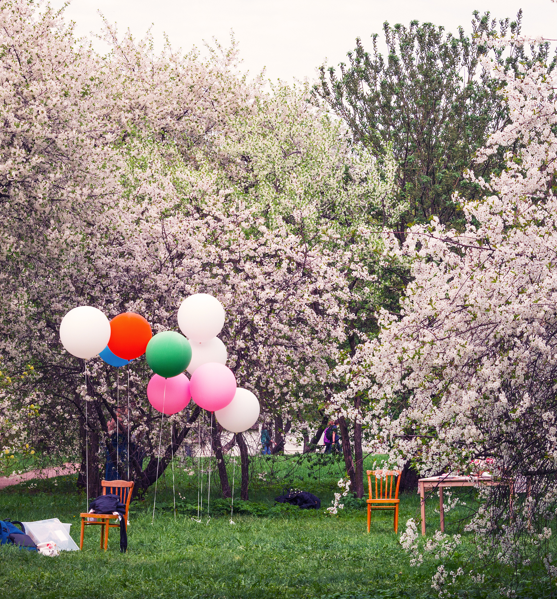 巴士拉什无尽的跑步：更新日志 - 新关卡、模式和挑战！